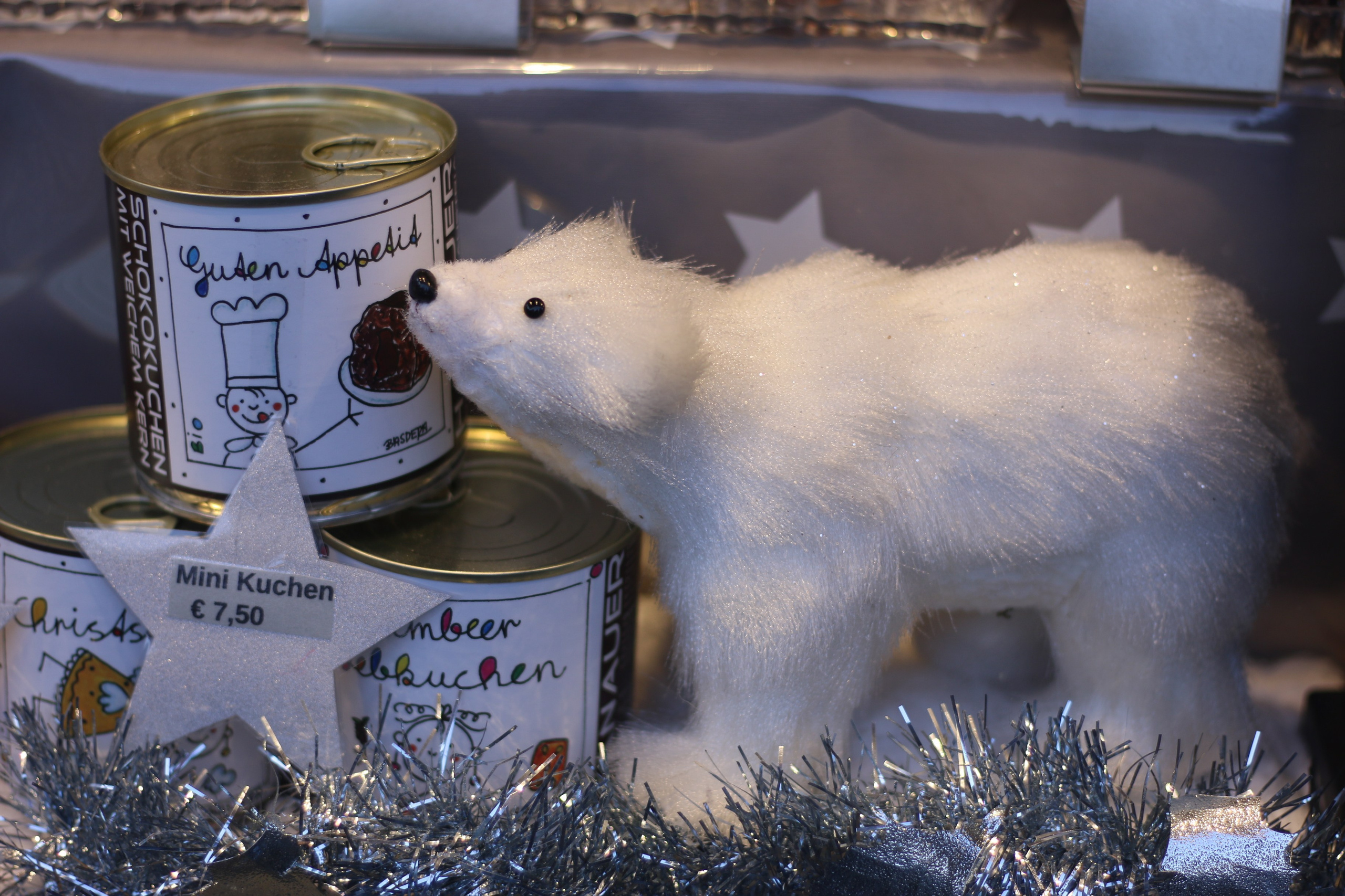 Vienna, Dec.19. Kseny Kolesnik Photography