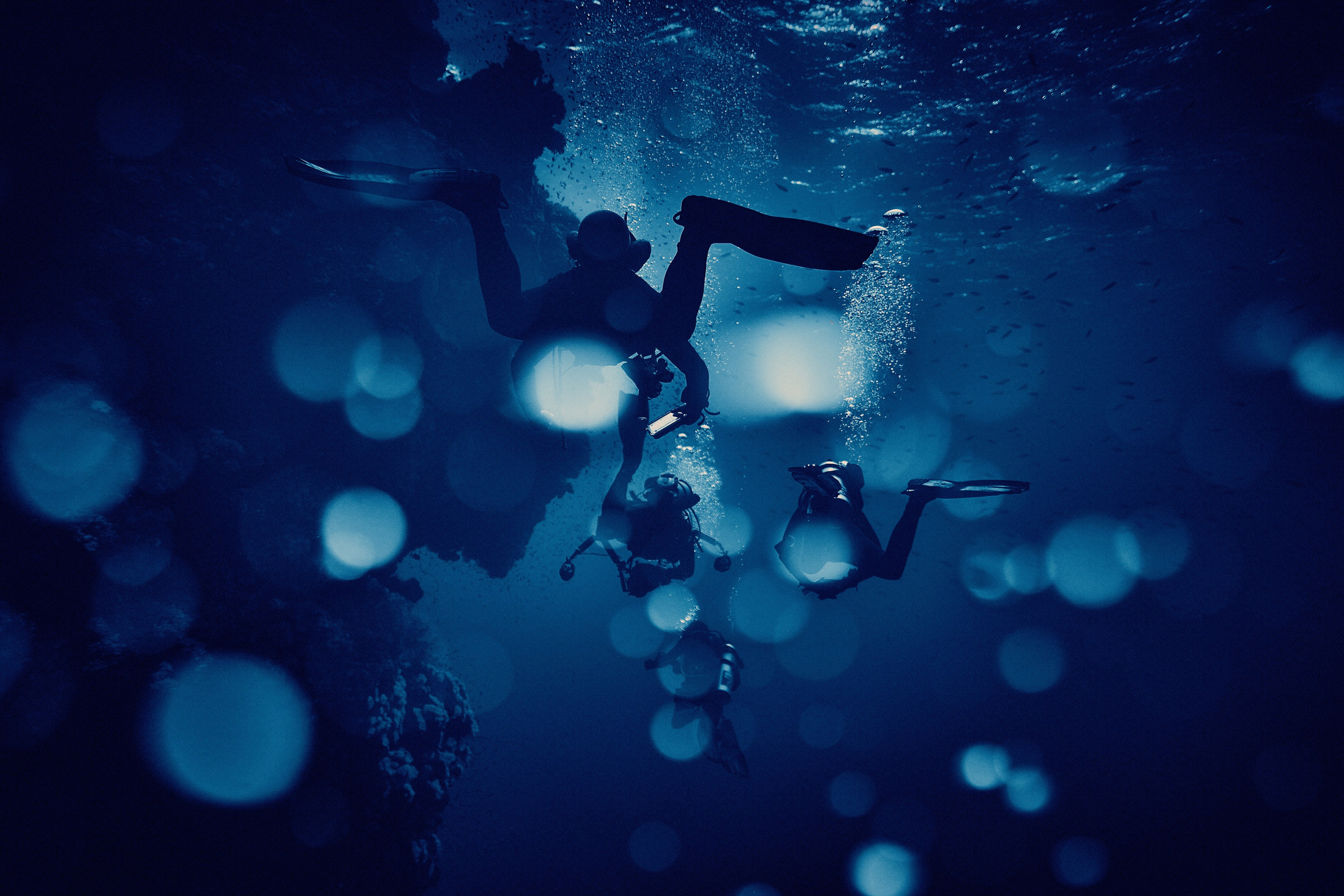 2023-11 - Diving Safari Deep South Egypt. Andriej Szypilow — Photography & Videography