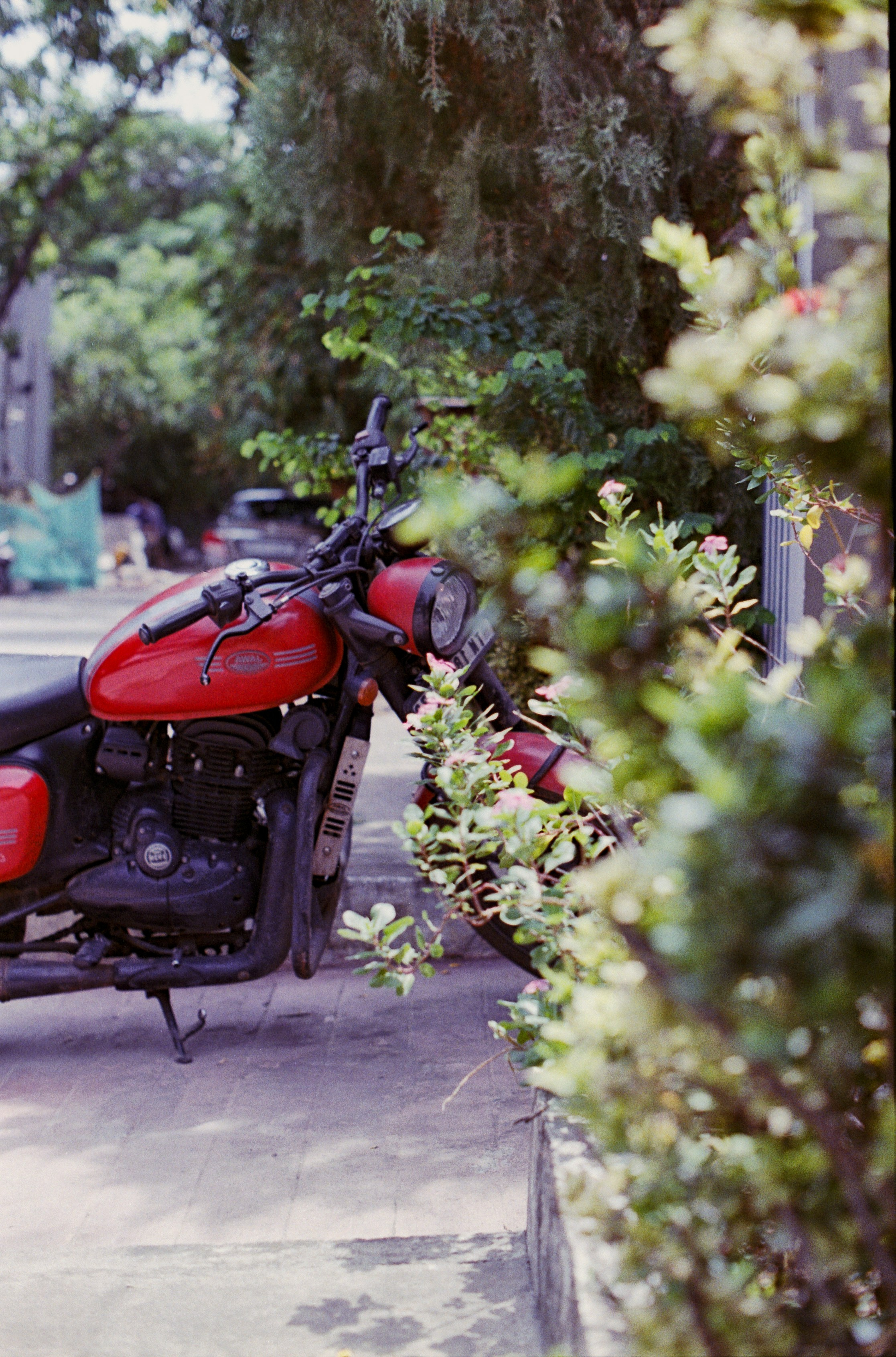 Everything on Film. Portrait, Fashion & Fitness Photography in Chennai| SunnyHazePhotography