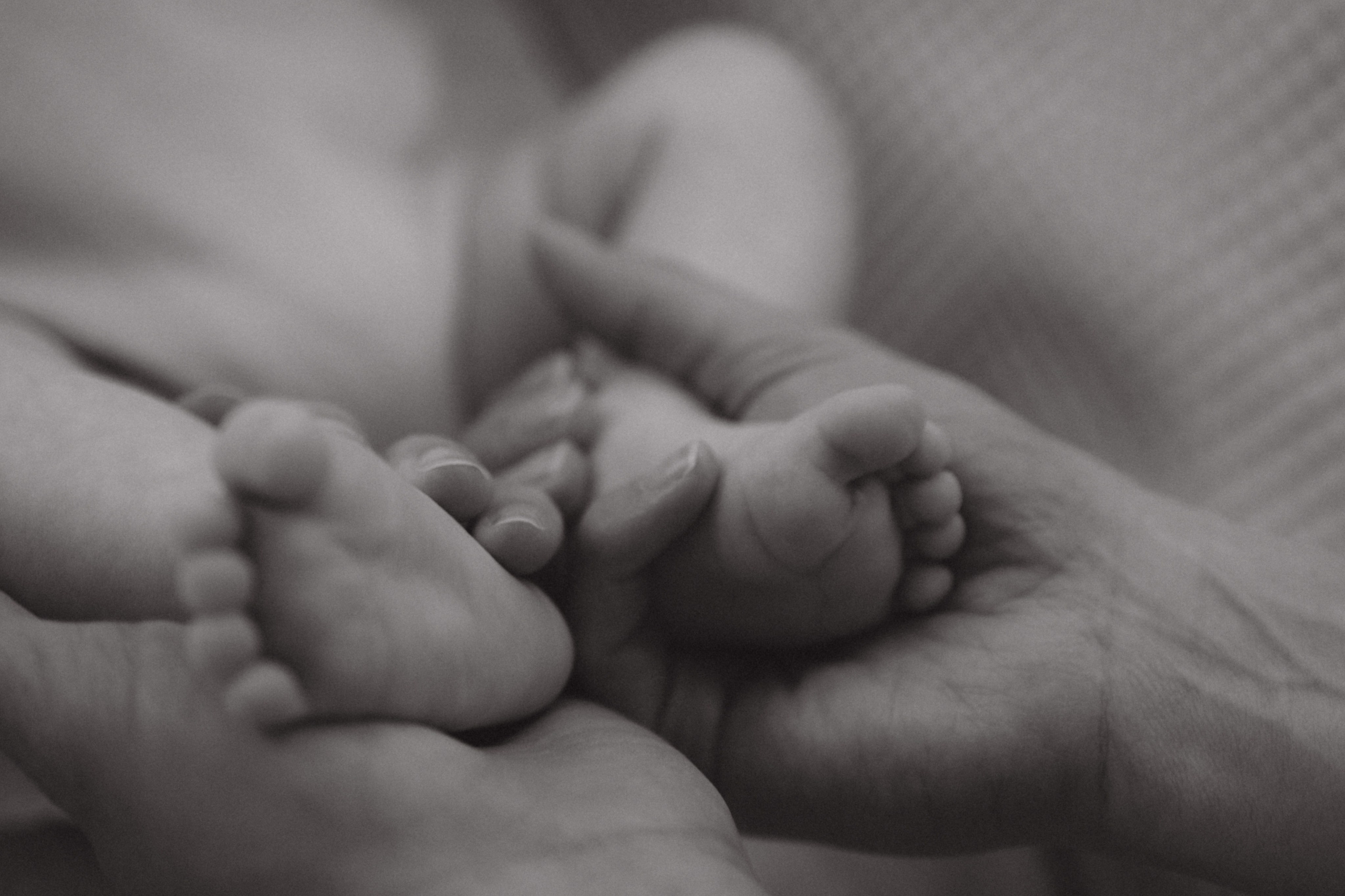 GUNAS ģimene. GALVENĀ