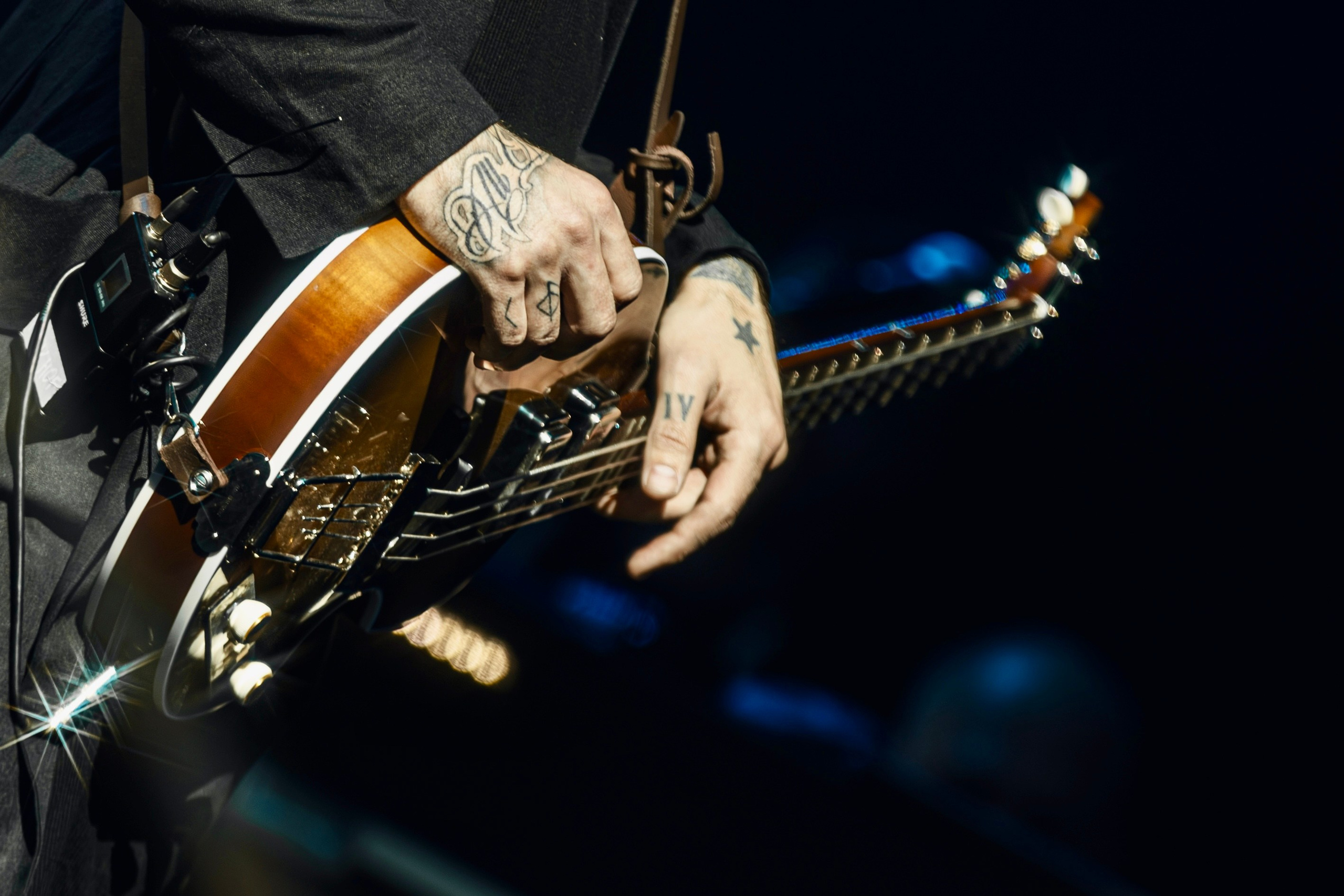 Океан Ельзи. Репортажний фотограф/анімаліст КИЇВ