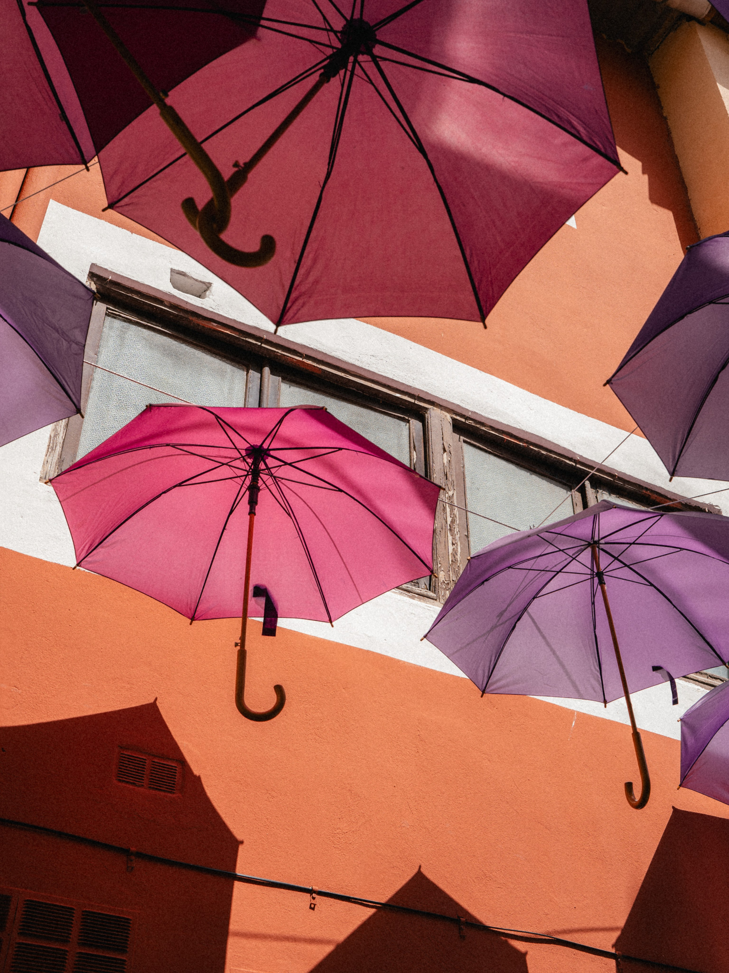 Brihuega. Фотограф в Мадриде Алена Белянинова