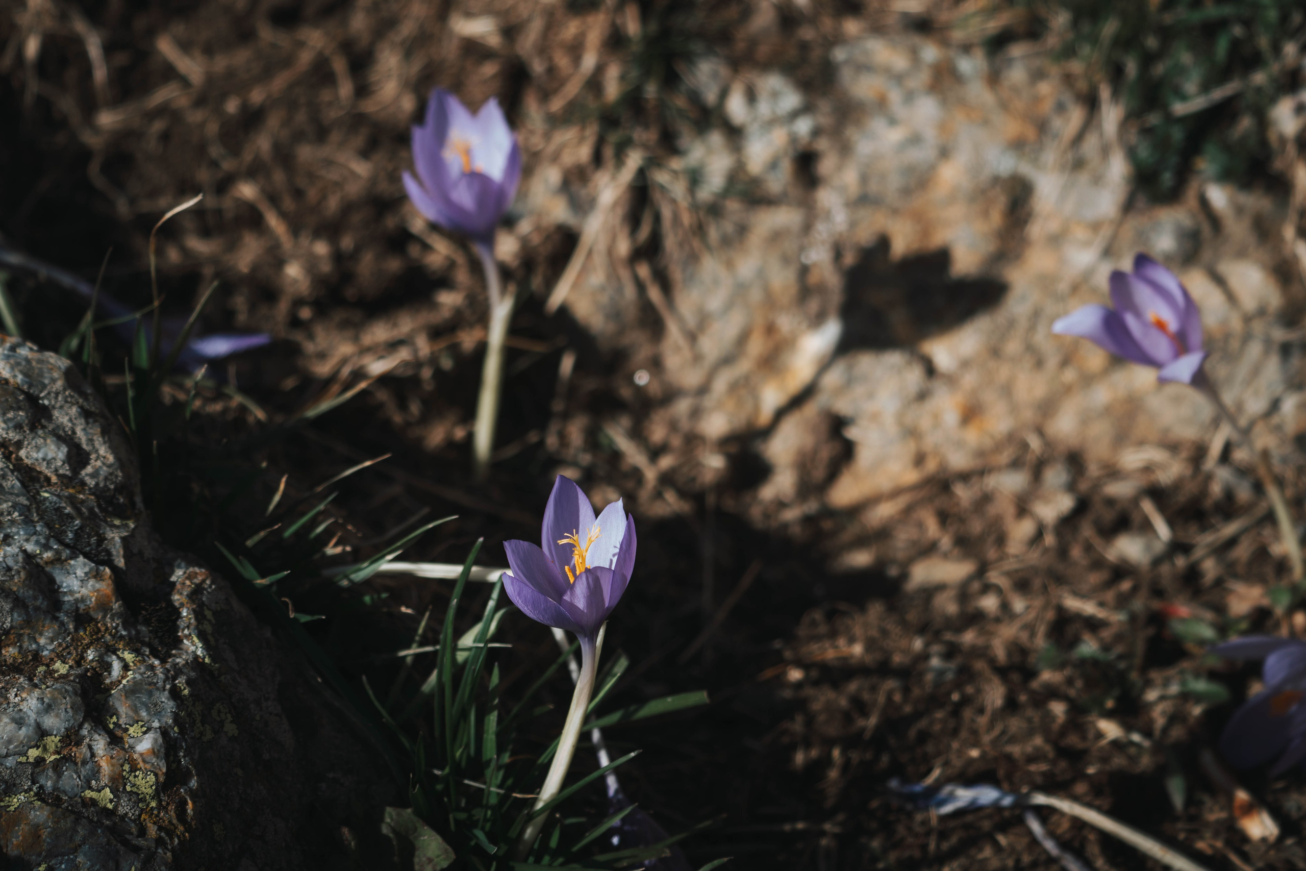 Salto de agua Mainera, Estación de esquí abandonada, Llesui. Alba del Norte Studio