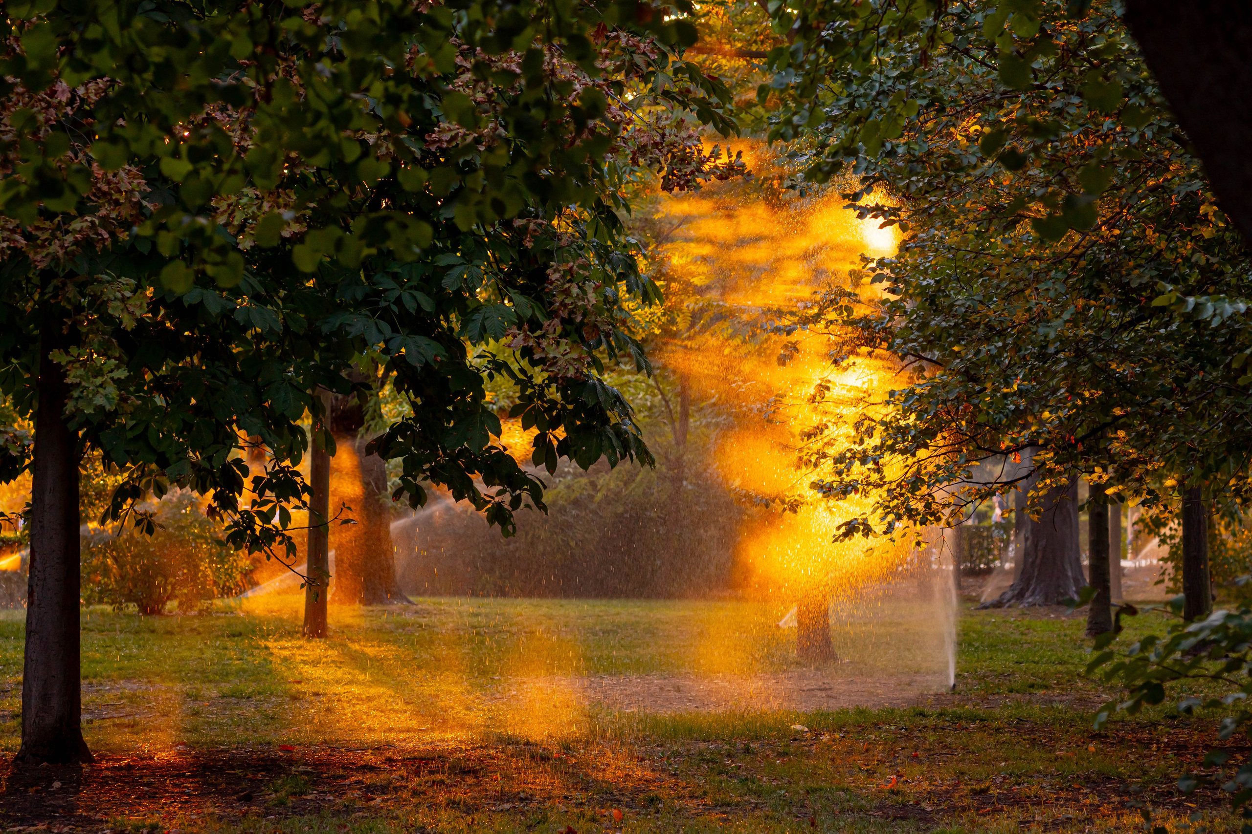 Bocetos. Alba del Norte Studio