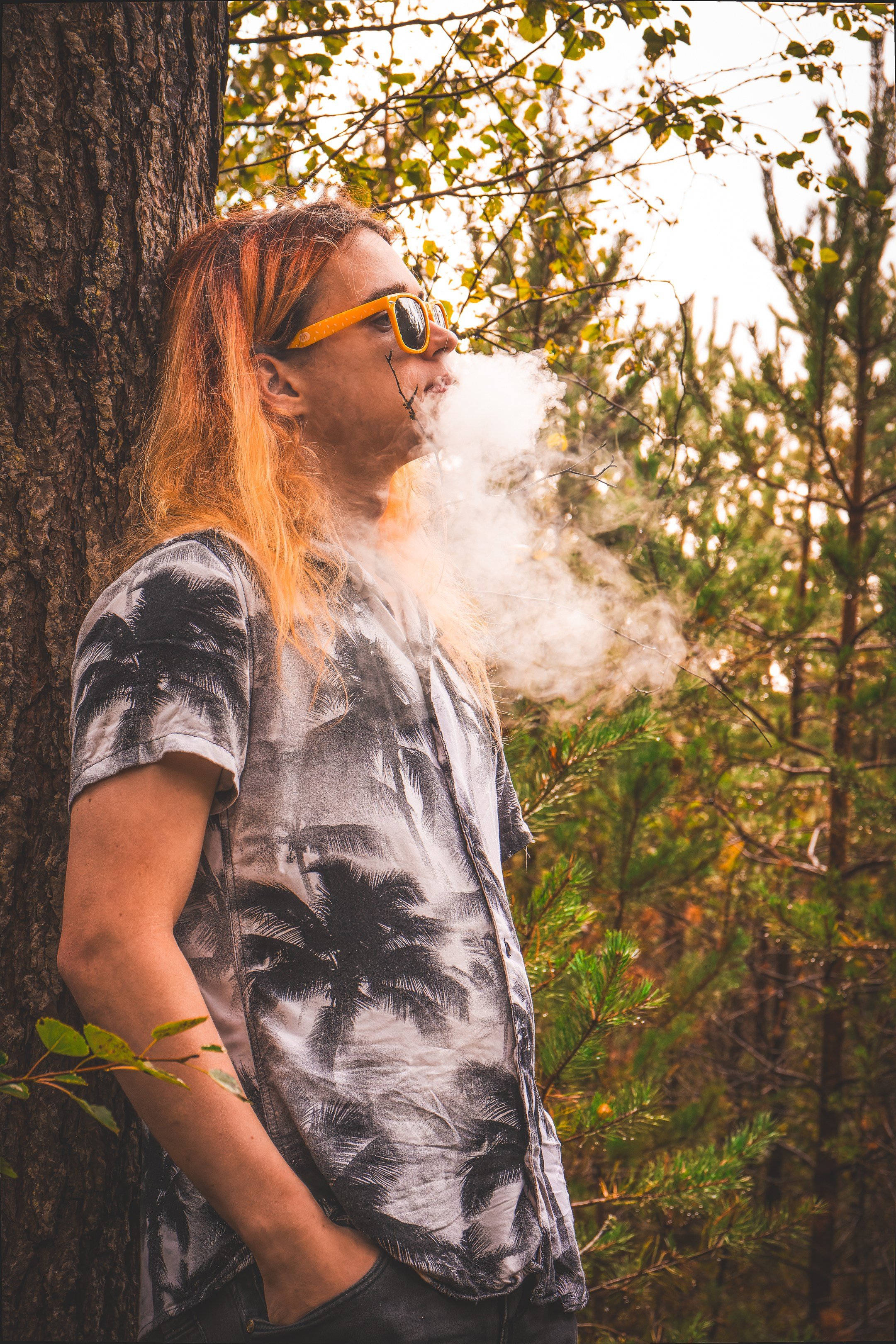 Mets, vihm ja jahedus (Dimitry). Nebula 25 — Fotod teie hingele