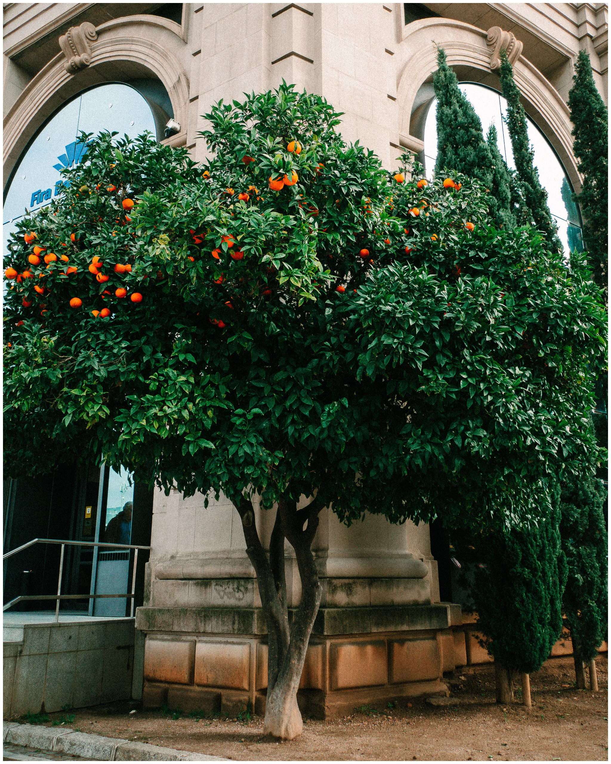 BARCELONA. Inna Mendelson — Photographer