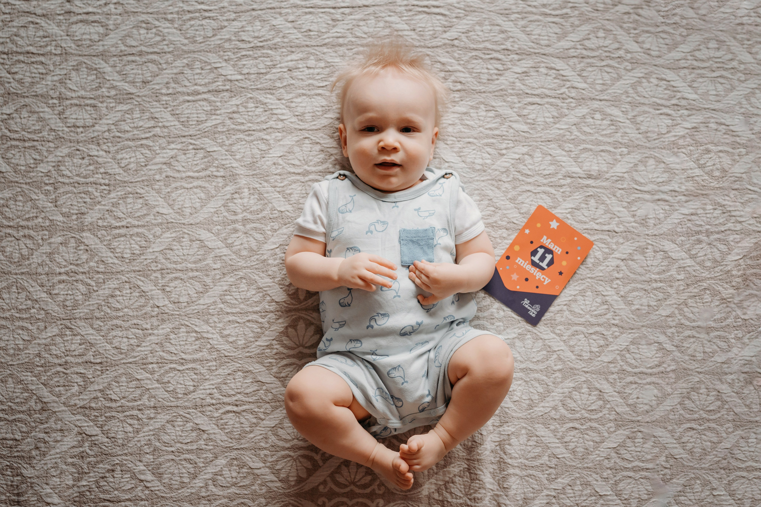 11 месяцев. Фотограф новорожденных и детей первого года Евгения Михалькевич