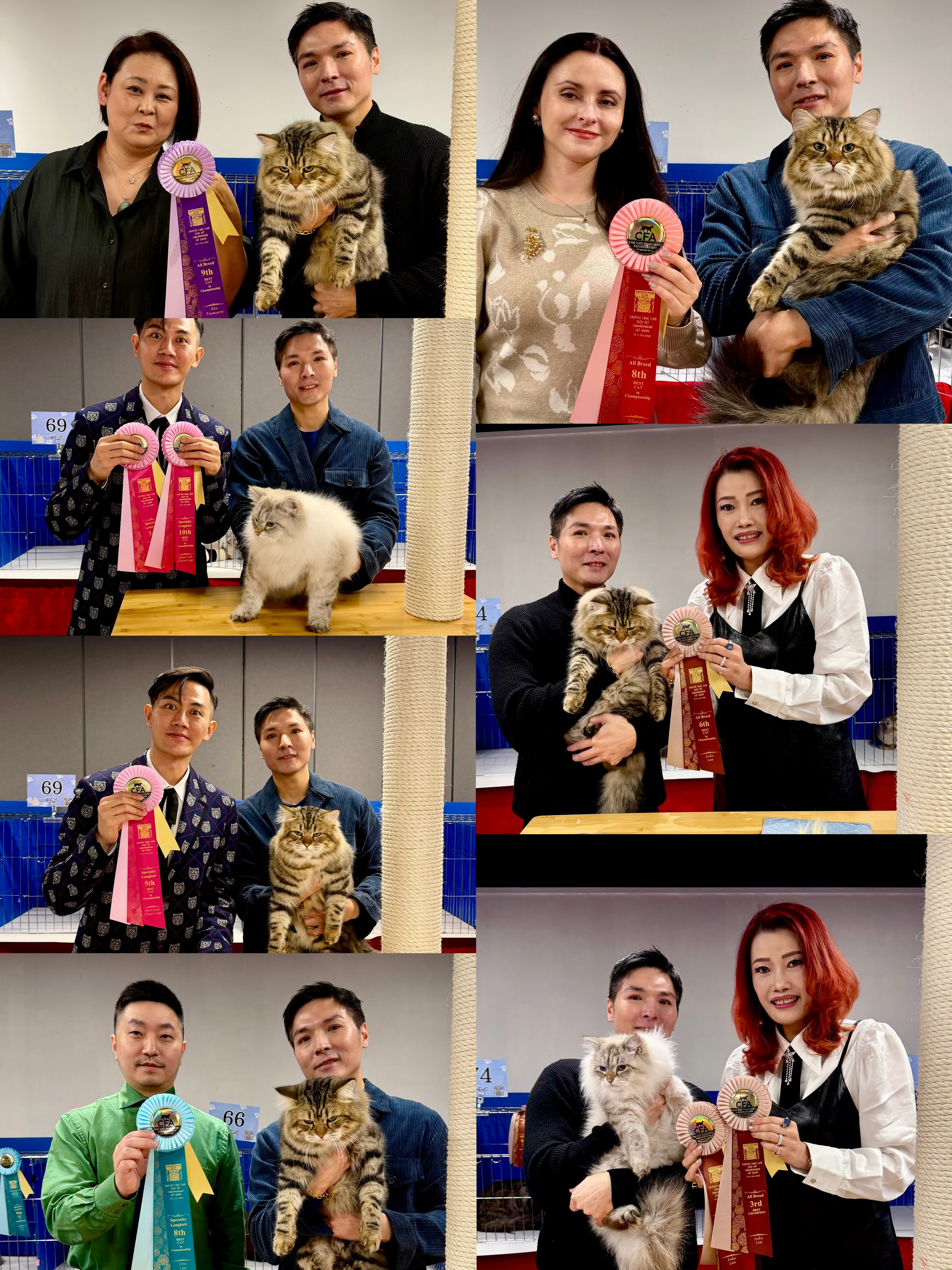 CFA Exotics Fans Club 2026 1st Championship Cat Show (10-11 Jan 2026)GC Sladkoe Pyatnyshko Chudo 5th Best Longhair Championship by Alex Luk6th Best Allbreed Championship by Suki Lee8th Best Allbreed Championship by Elena Podprugina 8th Best Longhair Championship by Jon Lee9th Best Allbreed Championship by Aki Tamura Musrafy Aiusha of Lemon Green2nd Best Longhair Champion + 10th Best Longhair Championship by Alex Luk2nd Best Longhair Champion by Jon Lee3rd Best Longhair Champion + 3rd Best Allbreed Champion by Suki Lee