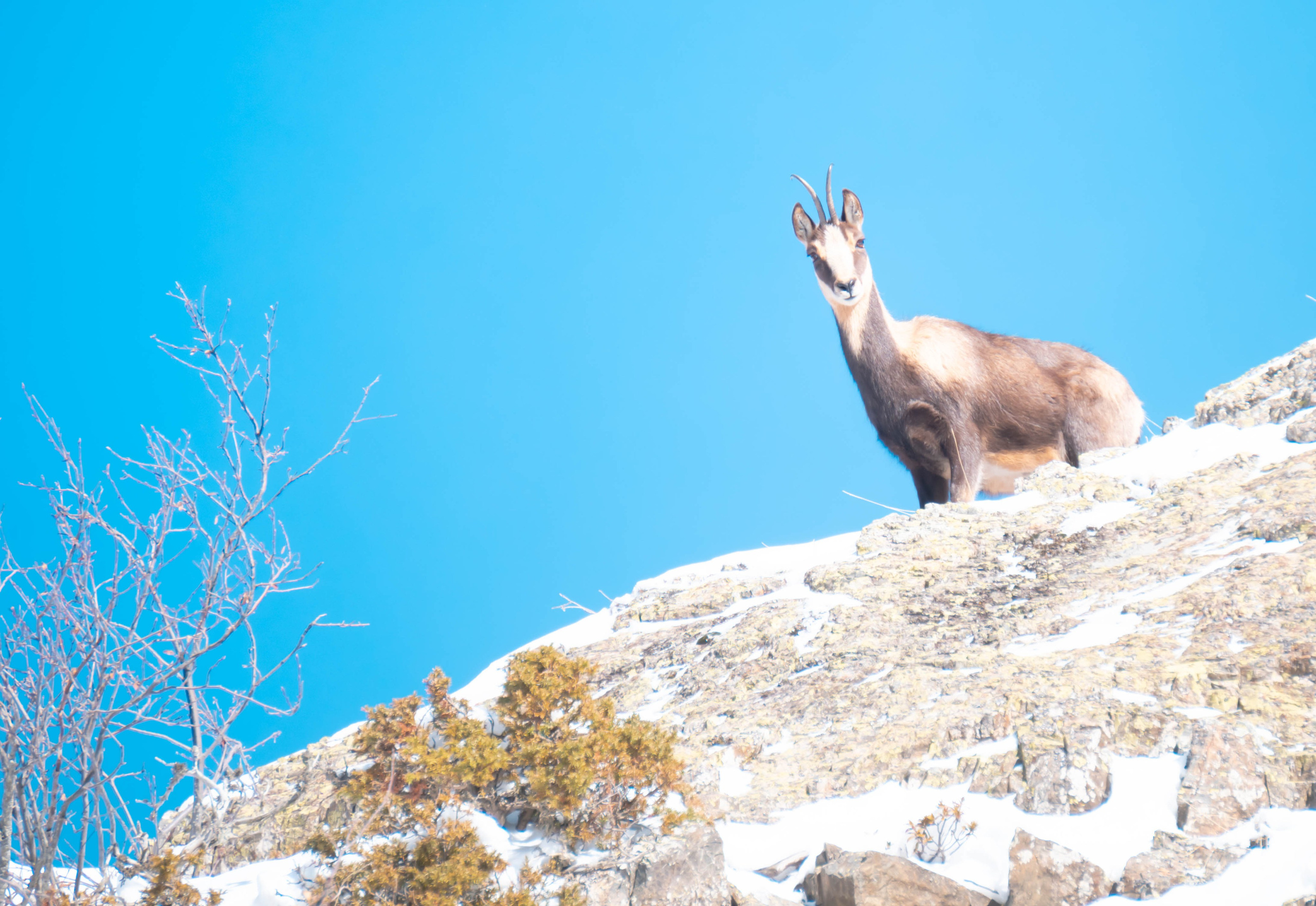 Vall Fosca, Invierno 2023. Alba del Norte Studio