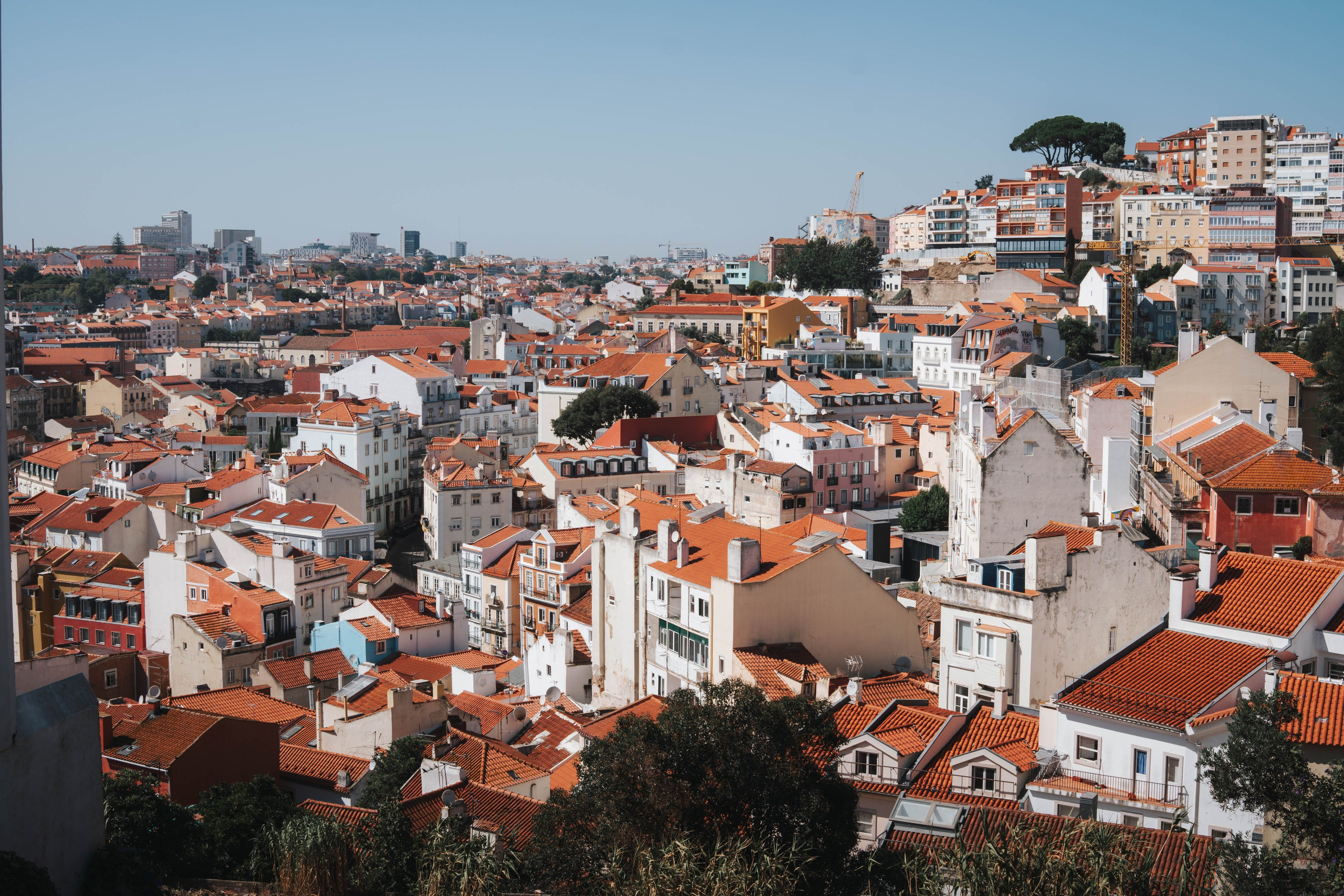 Lisboa, Agosto 2024. Alba del Norte Studio