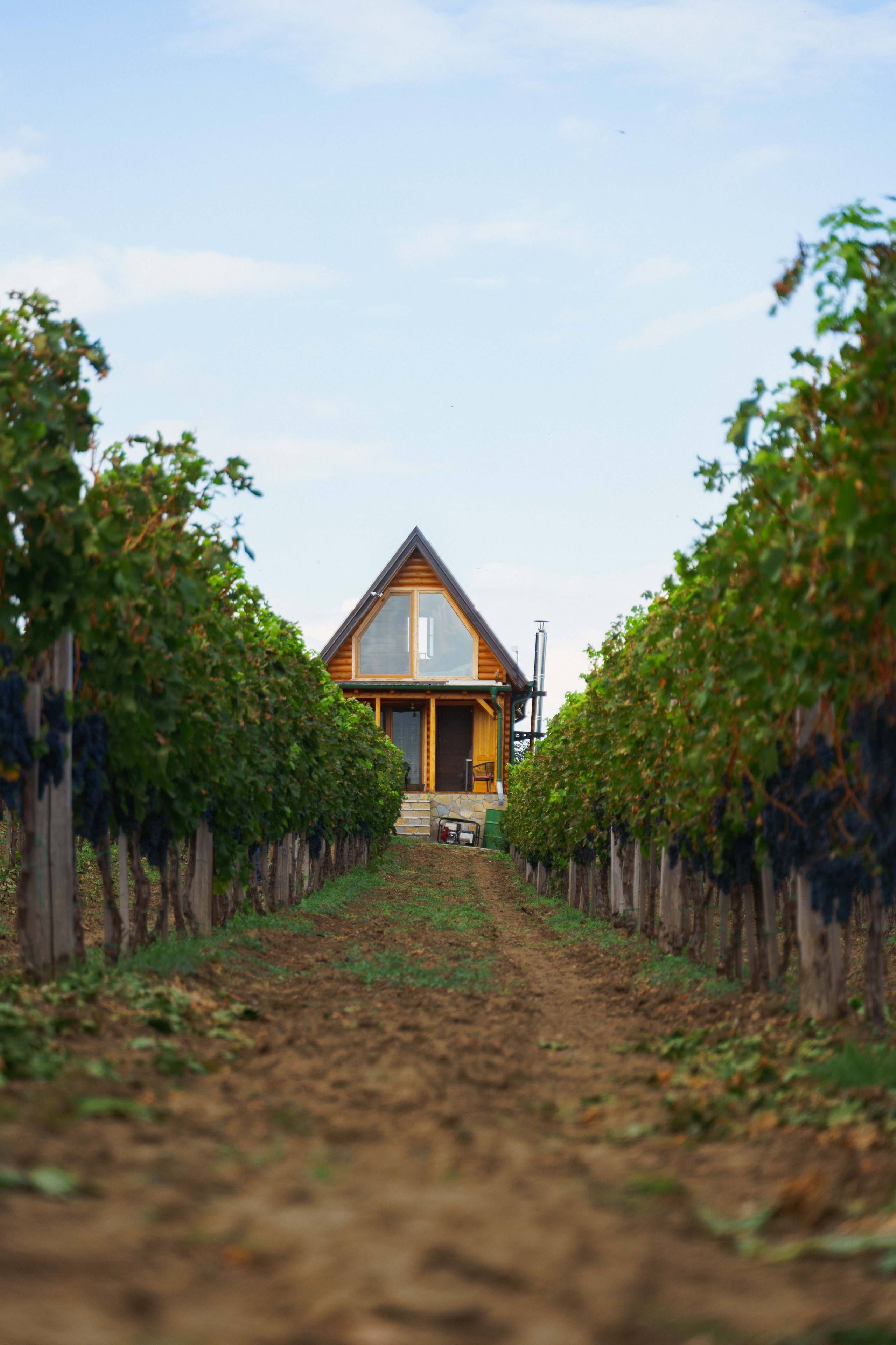 Jeep Commerce Event. Žukov Studio