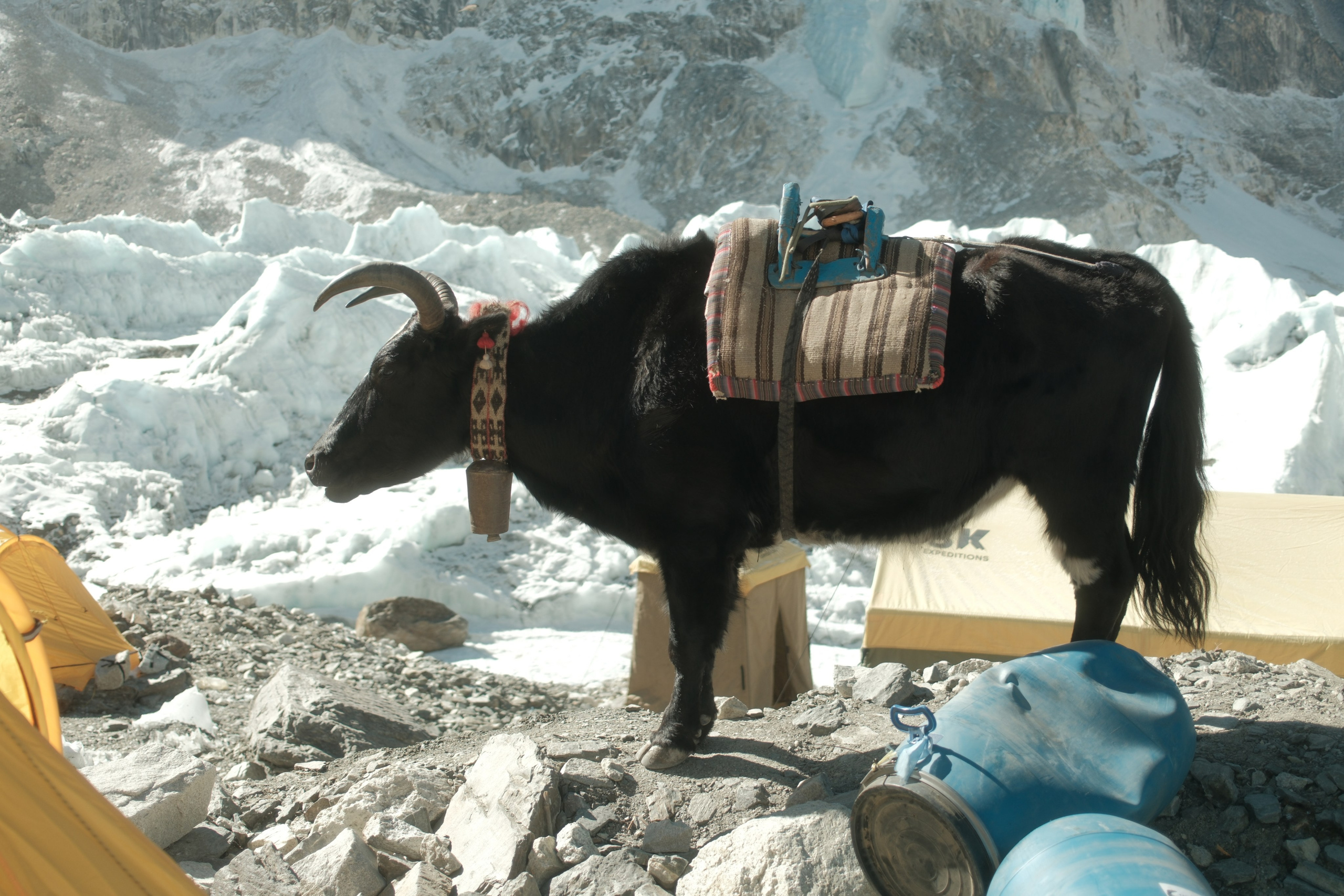 Nepal. Patricia Morenci — Mountain Adventures for the Wild at Heart