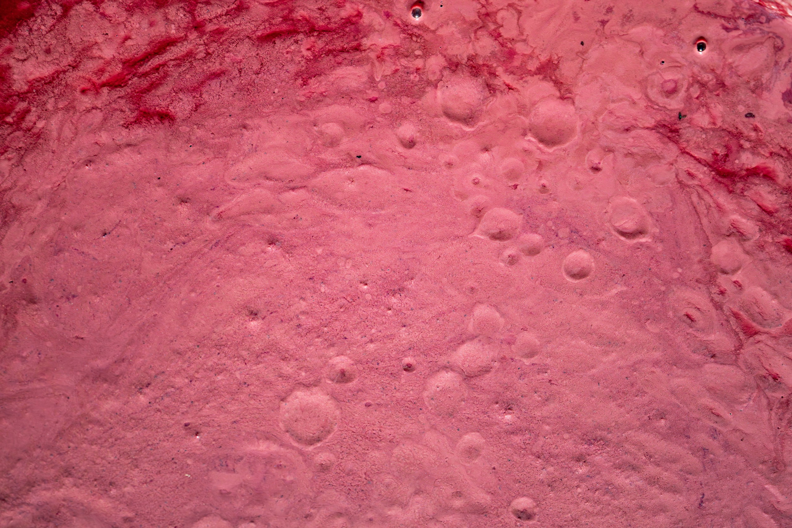 Cantine Boasso Serralunga. “Gianmaria Coscia fotografo per passione”