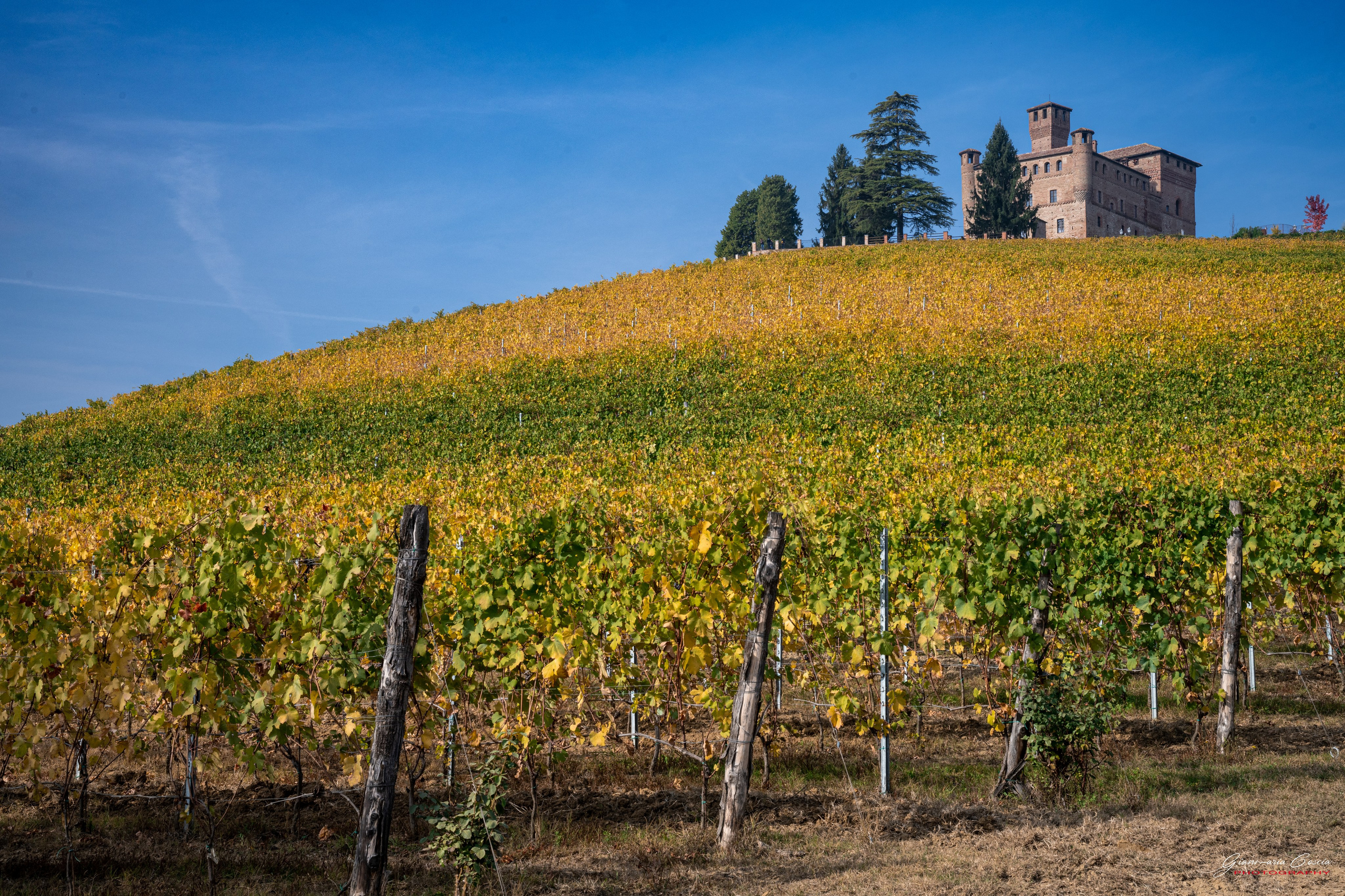 Langhe. “Gianmaria Coscia fotografo per passione”