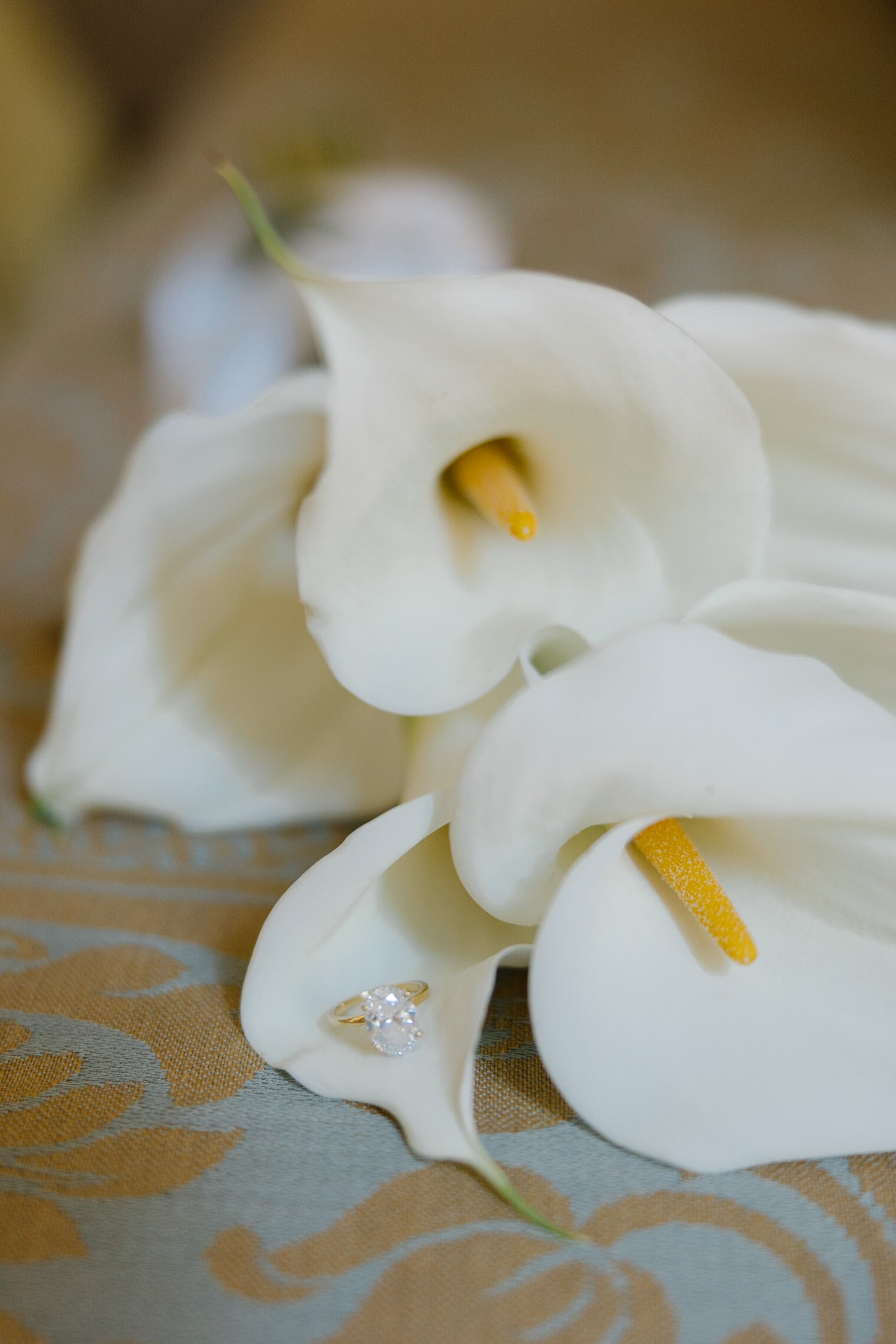 Melissa&Obaid. Wedding photographer Italy