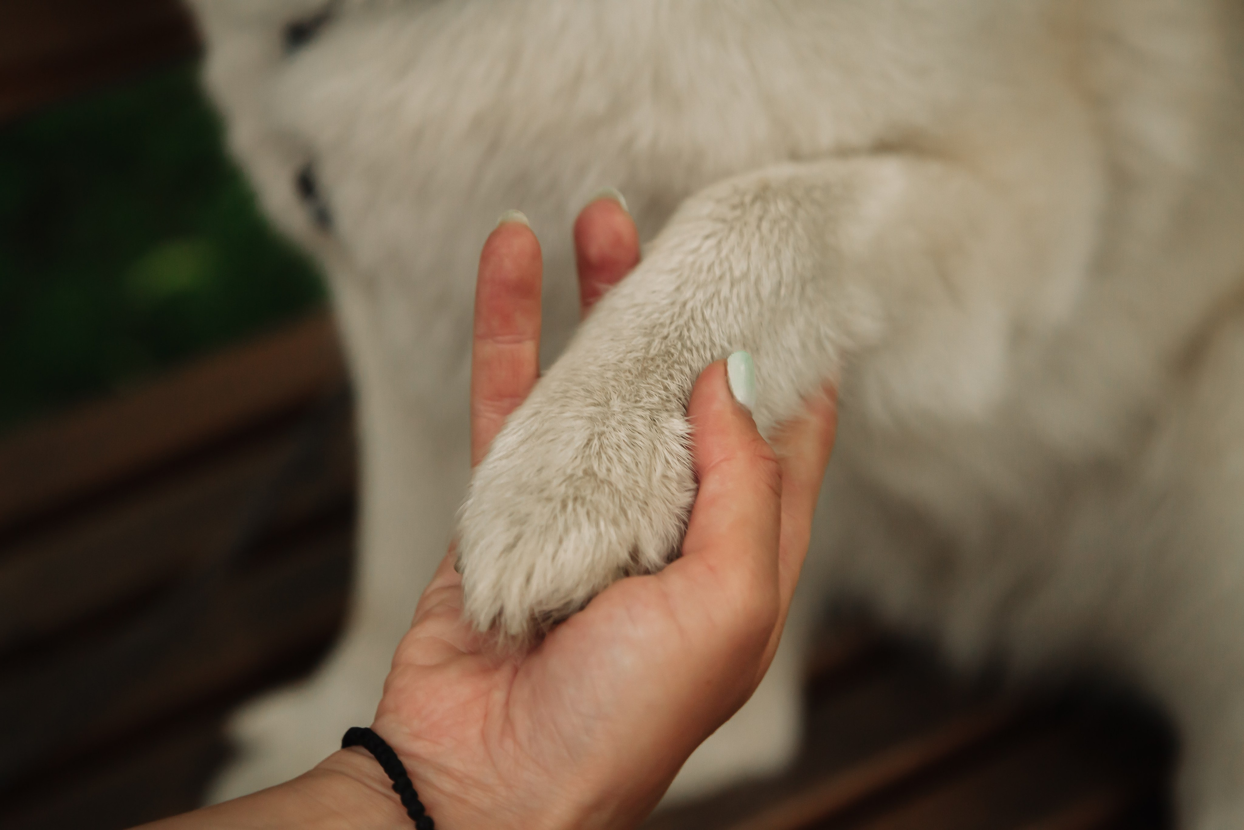 Liza. Photographer Valeriia Shurko