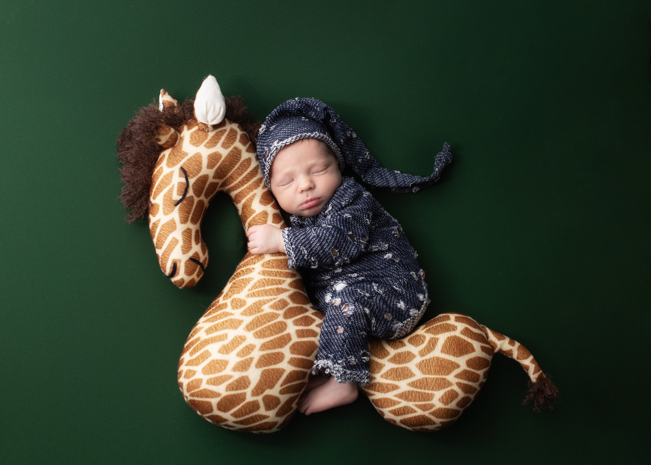 Каталог 12 Newborn. Катерина Шустерман — фотограф Newborn, семейный в Израиле