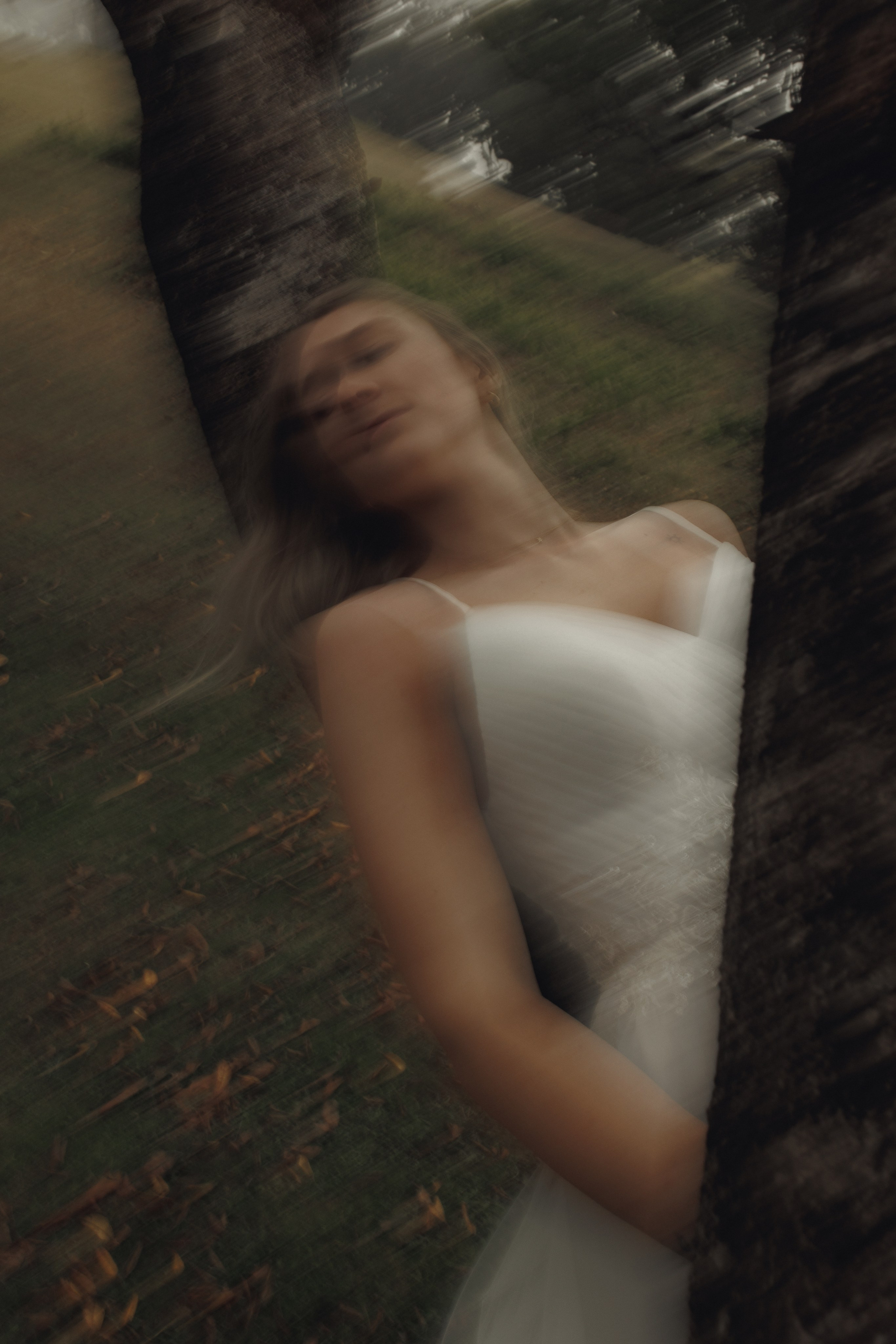 Elopement in Madeira | Mystical Forest of Fanal. Wedding photographer and videographer based in Timisoara, Romania