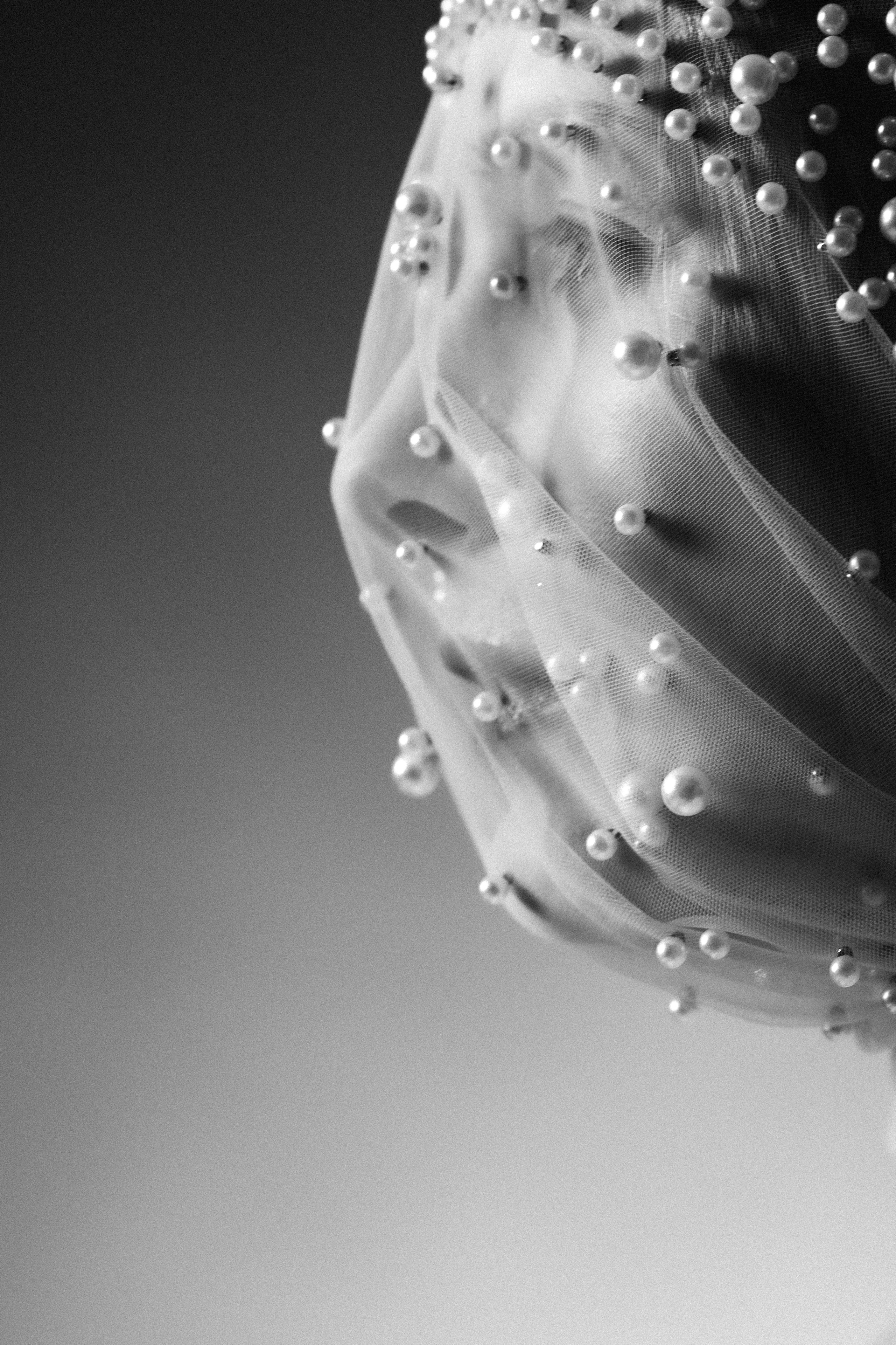 TORI PROJECT. Anna Miyauchi