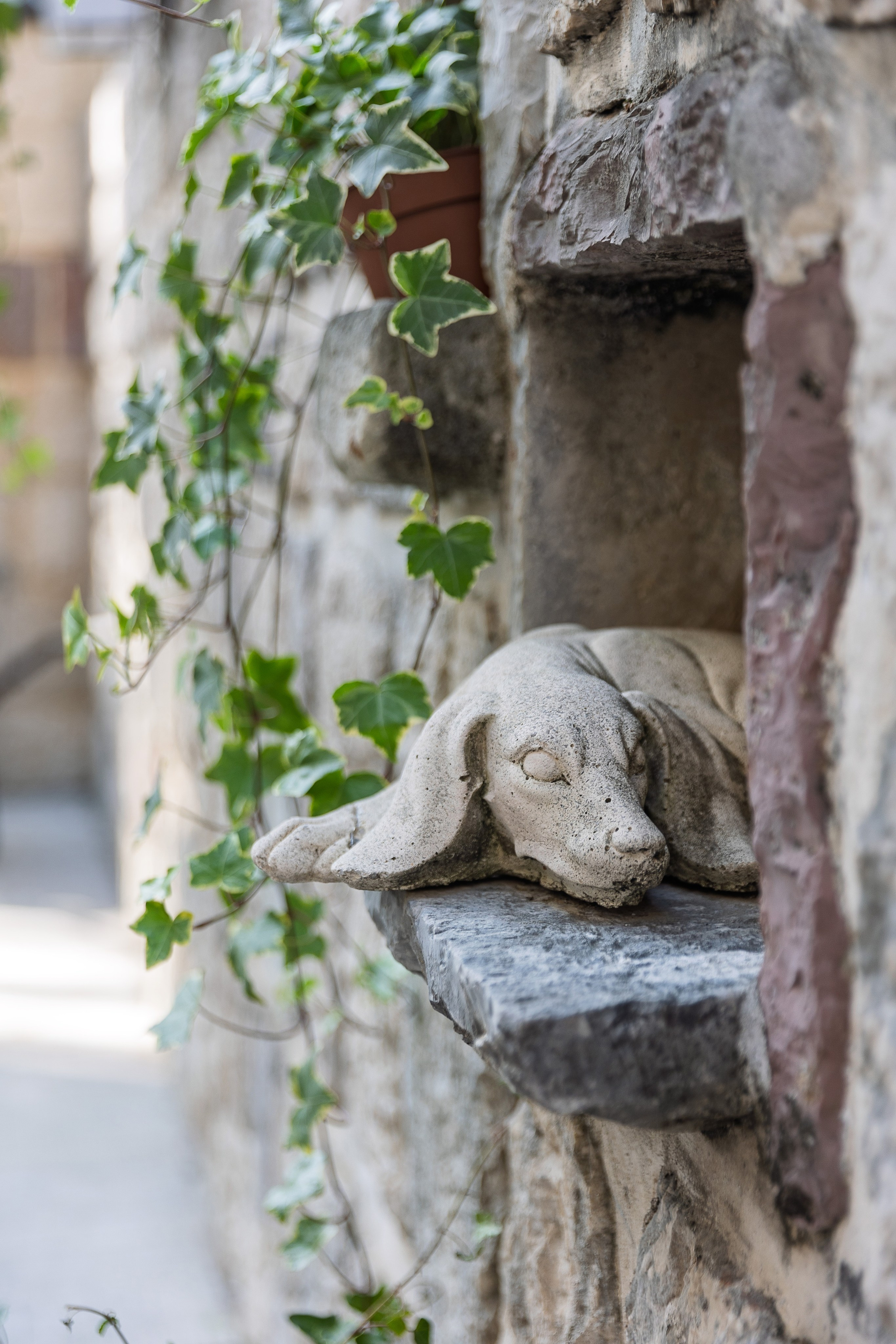 Съемка отеля в Которе. Фотограф в Черногории Андрей Свитайло