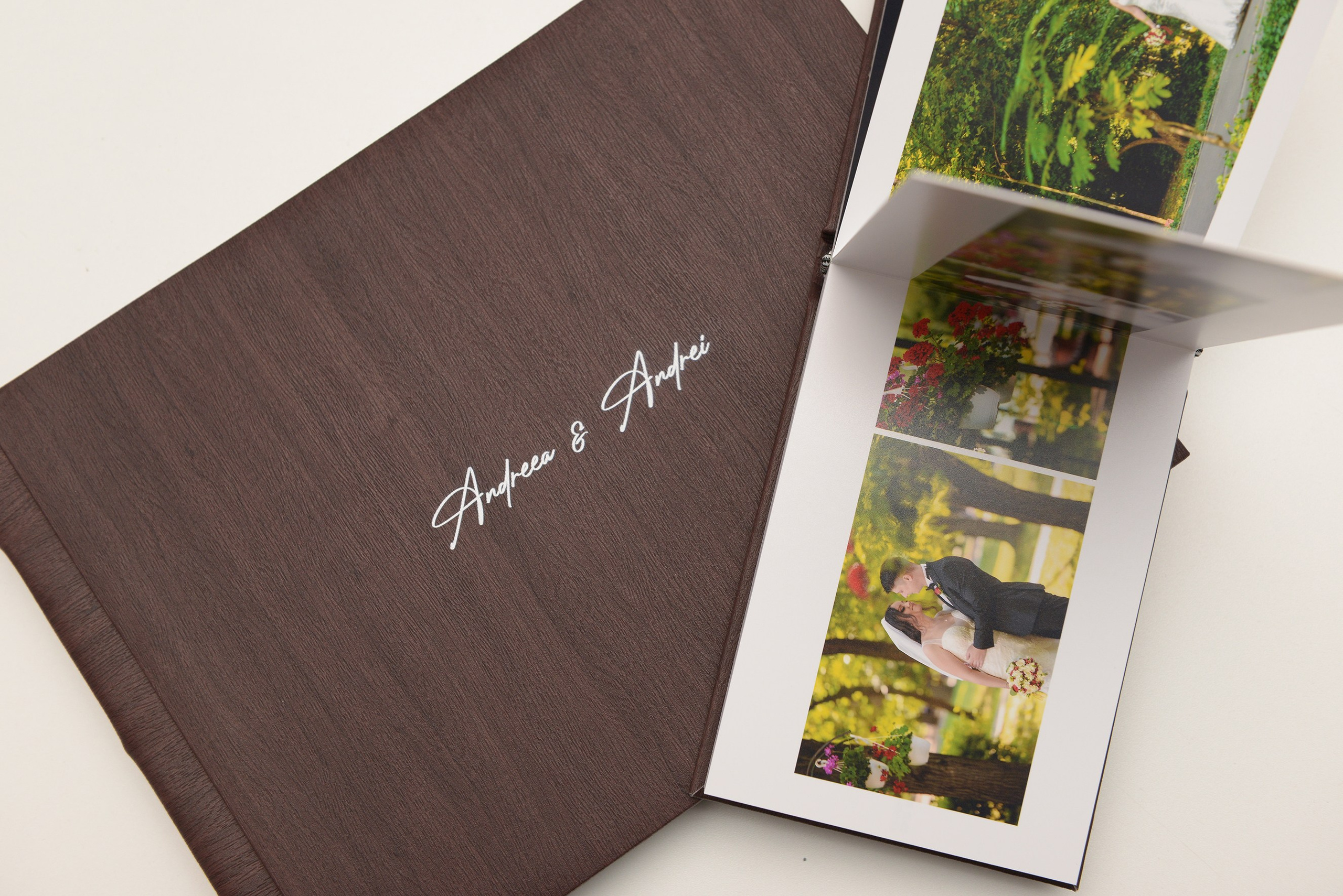 Albume Bogdan Palenciuc