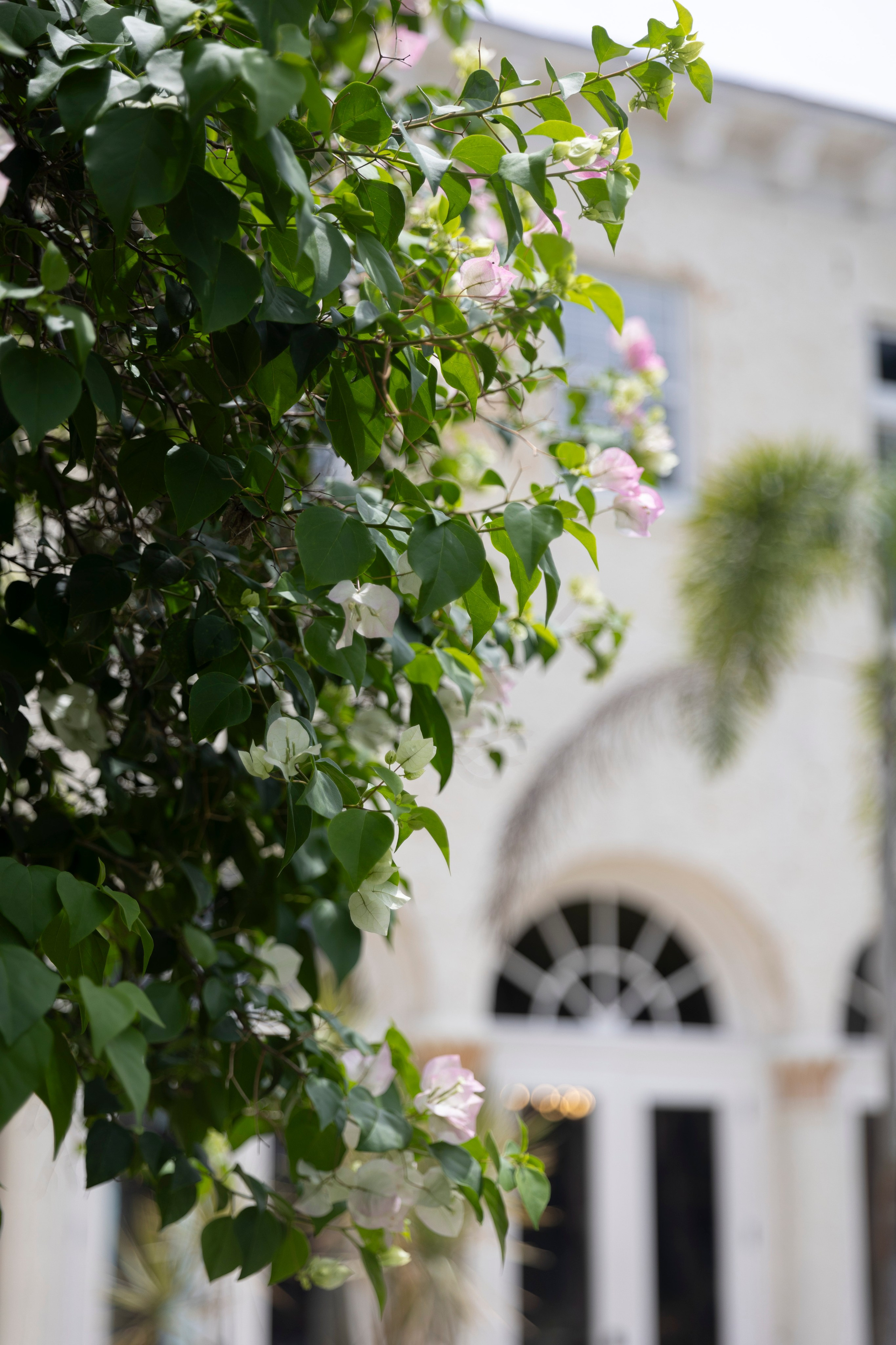 WEDDING GALLERY. Wedding Photography & Videography contenting in Tennessee and Florida