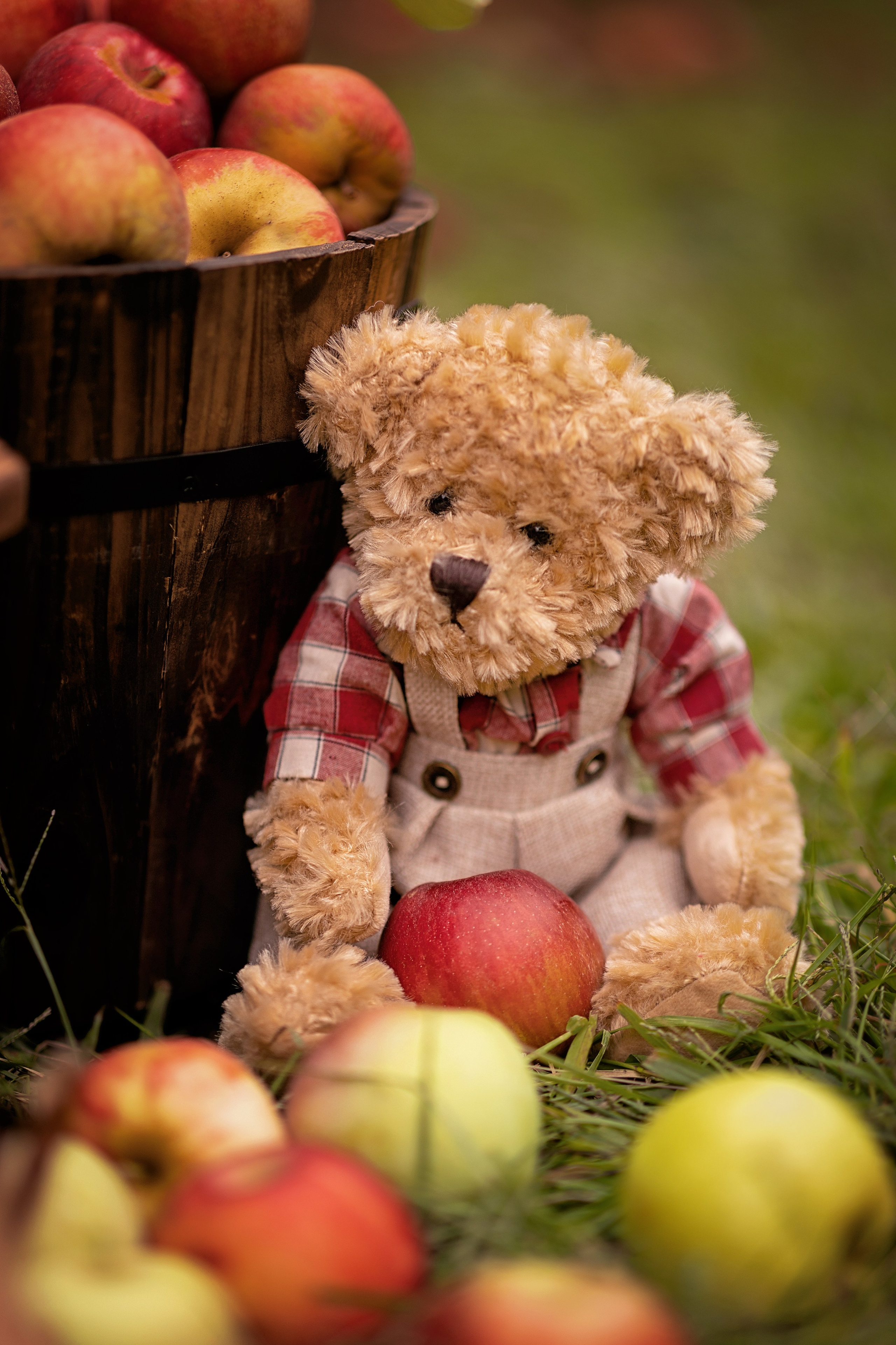 Autumn. Professional photographer in NYC Kristina Bagdasaryan