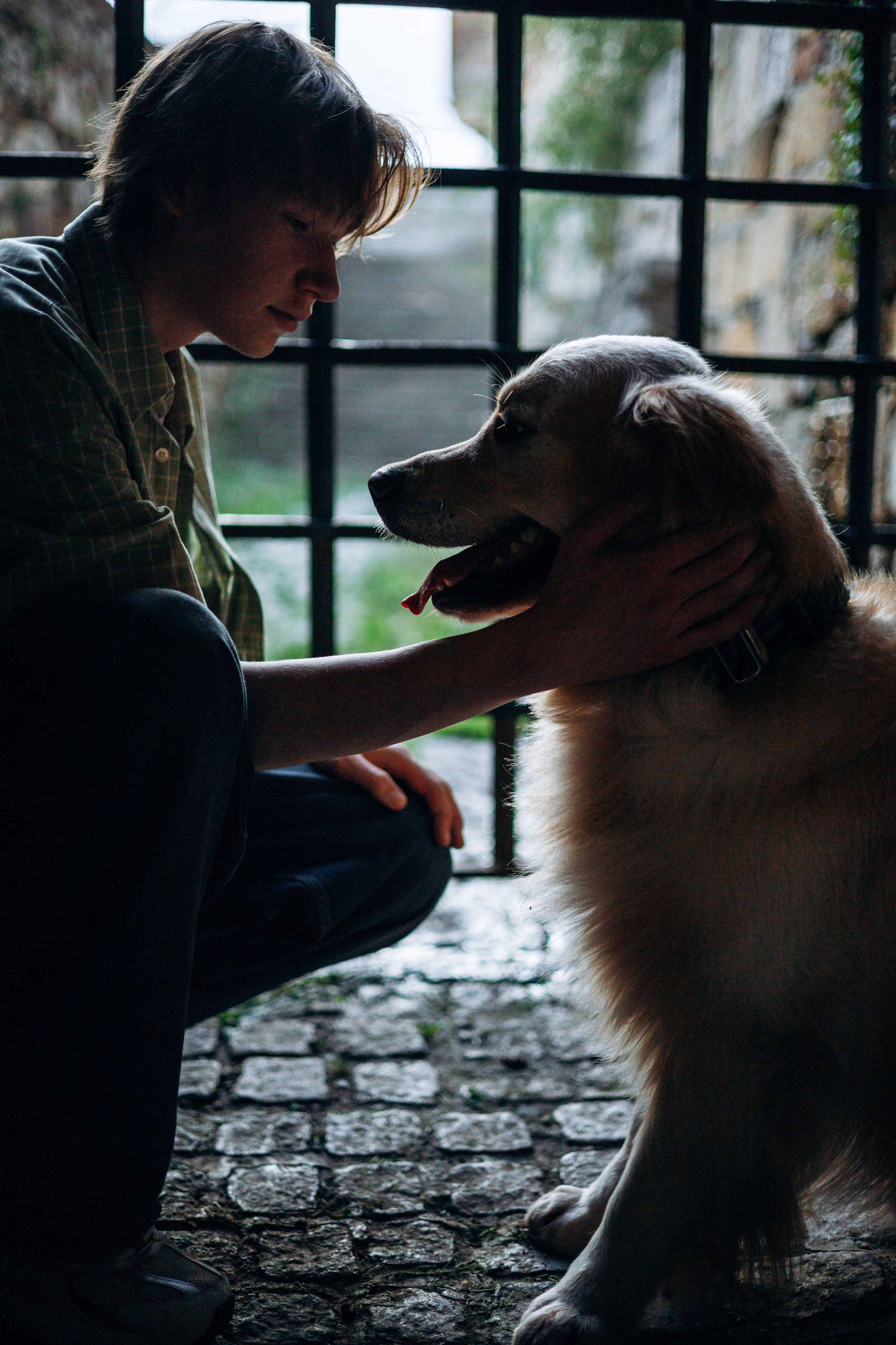 Глеб и Инди. Фотограф-анималист | Белград