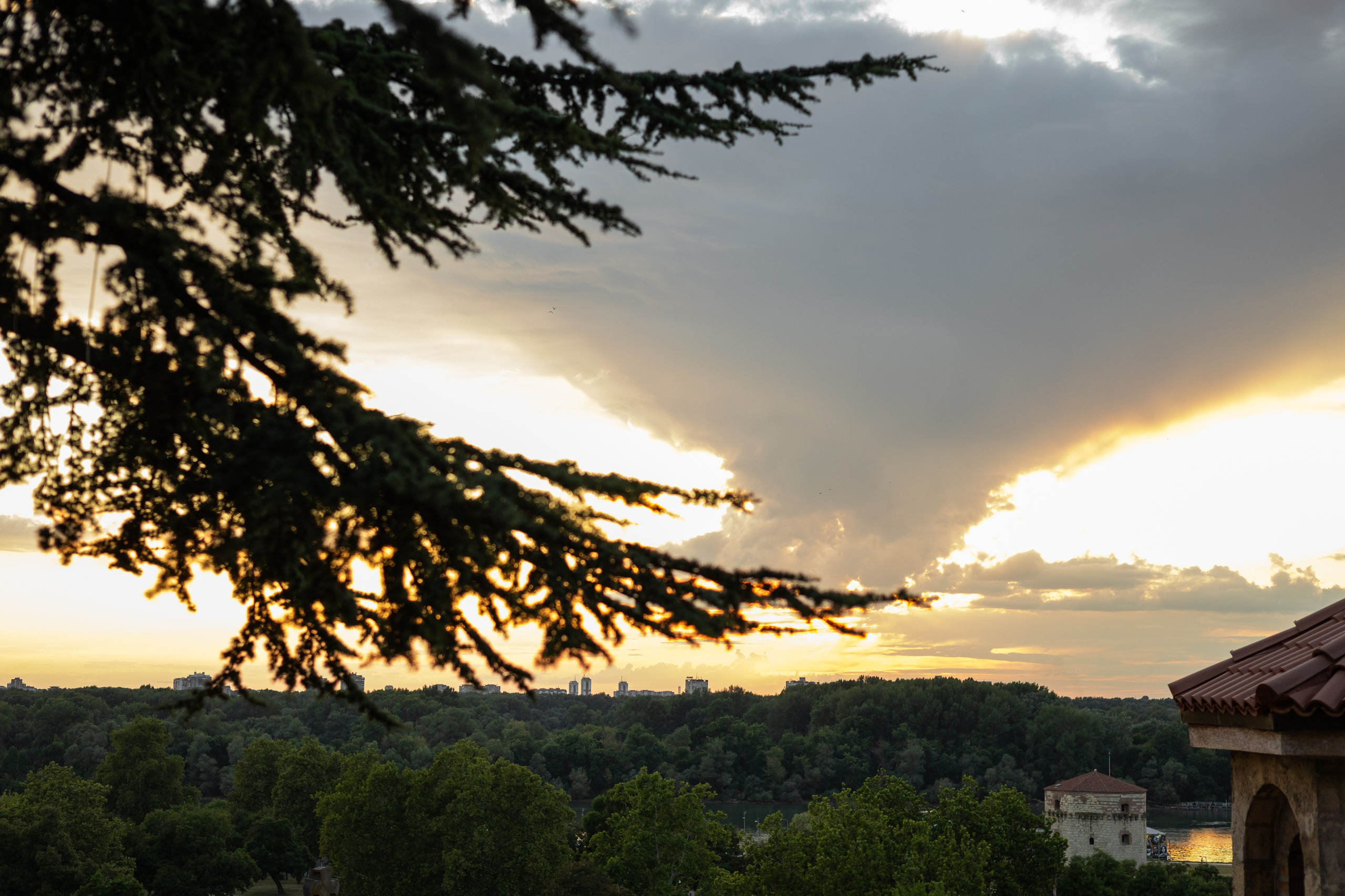 Настя, Денис и Мося. Фотограф-анималист | Белград