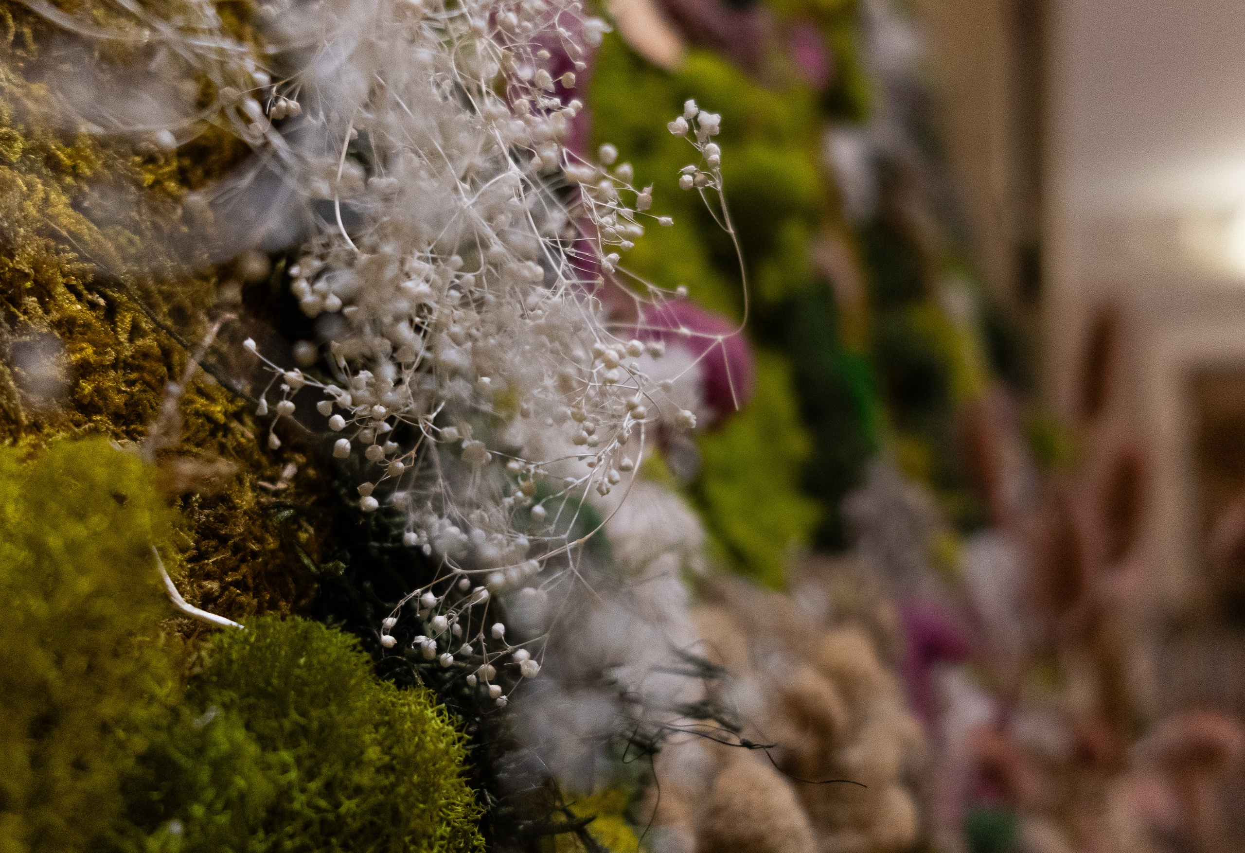 Anna & Moss magic, Content. Yana Bobrova | Artistic Photography