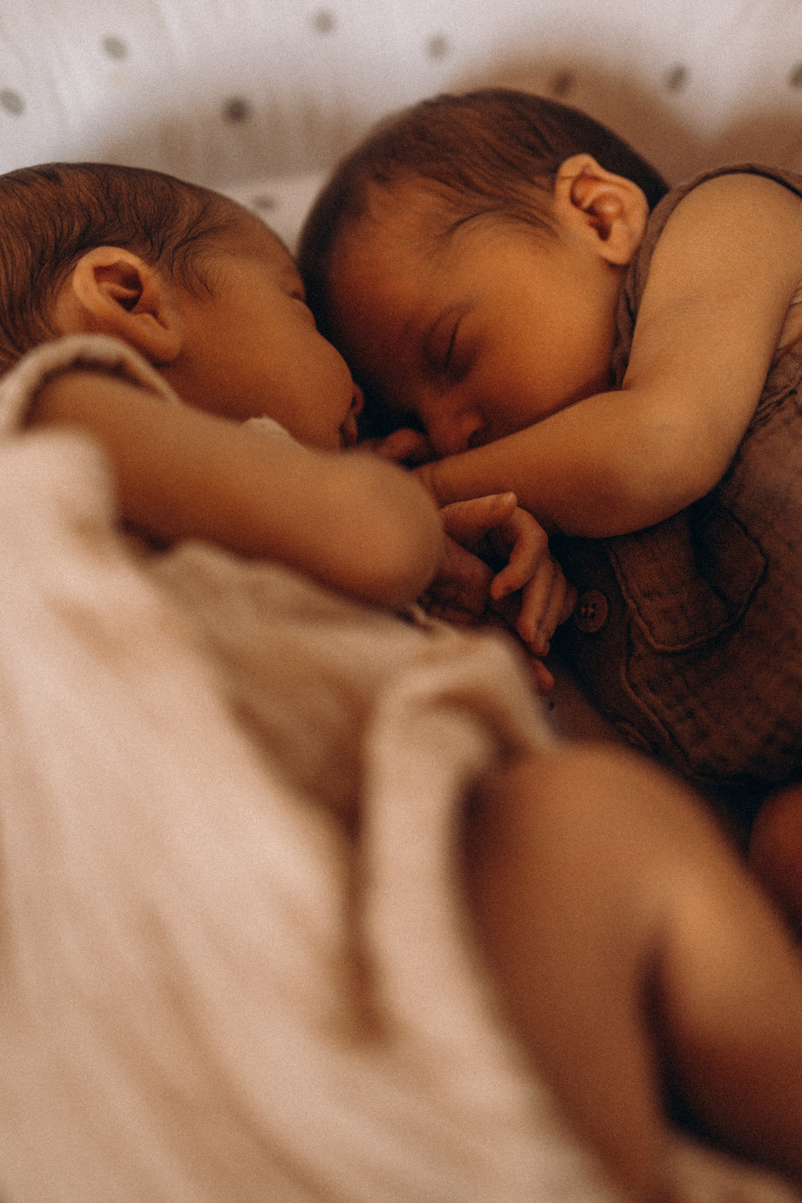 Newborn. Photographer Madeira