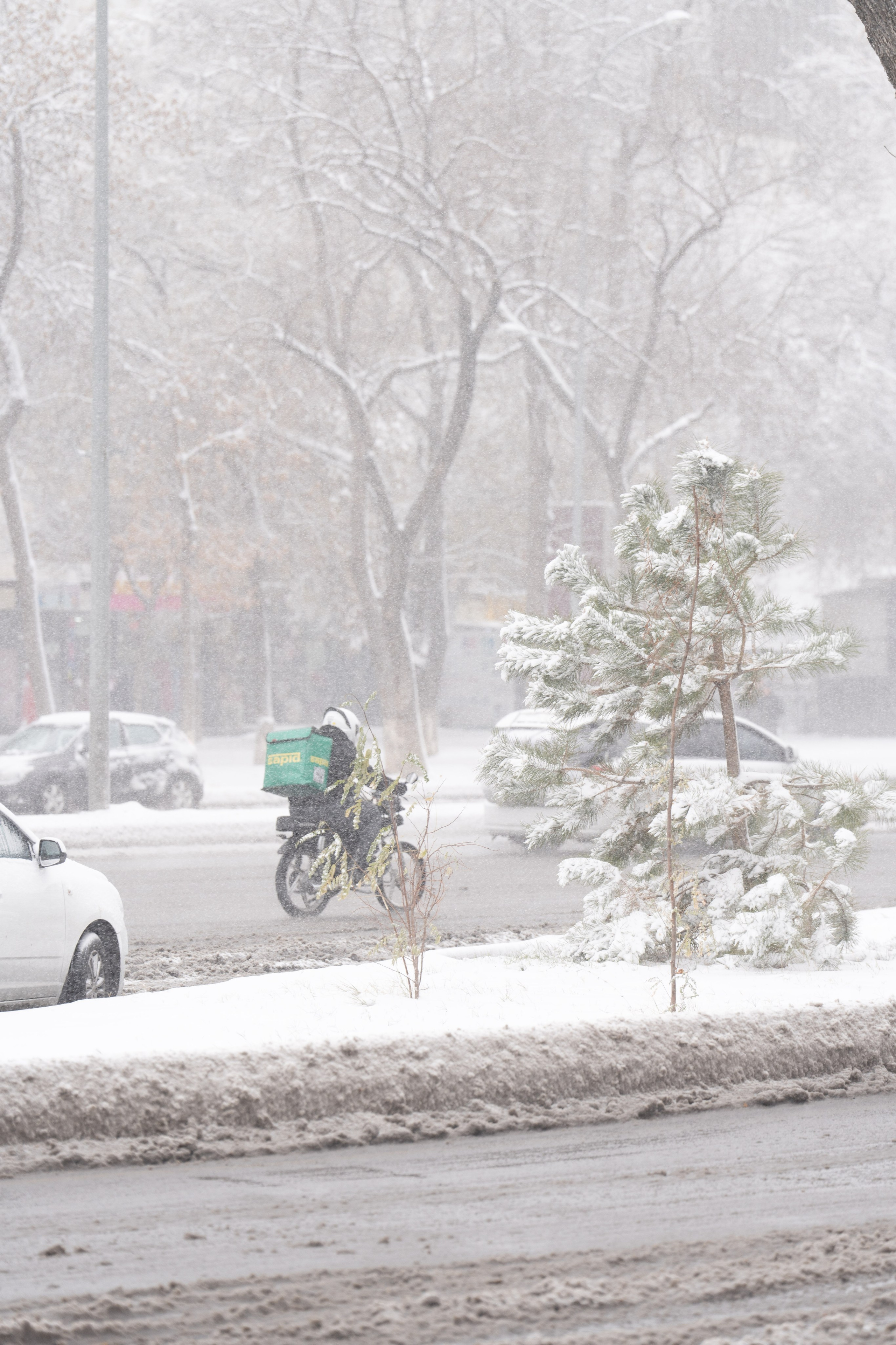 Снег. Георгий Намазов | Фотограф в Ташкенте