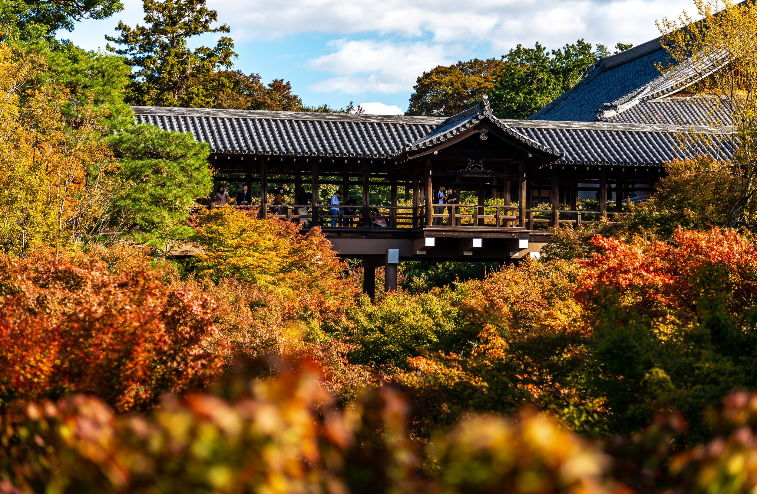 Japan. Marius Ciocan
