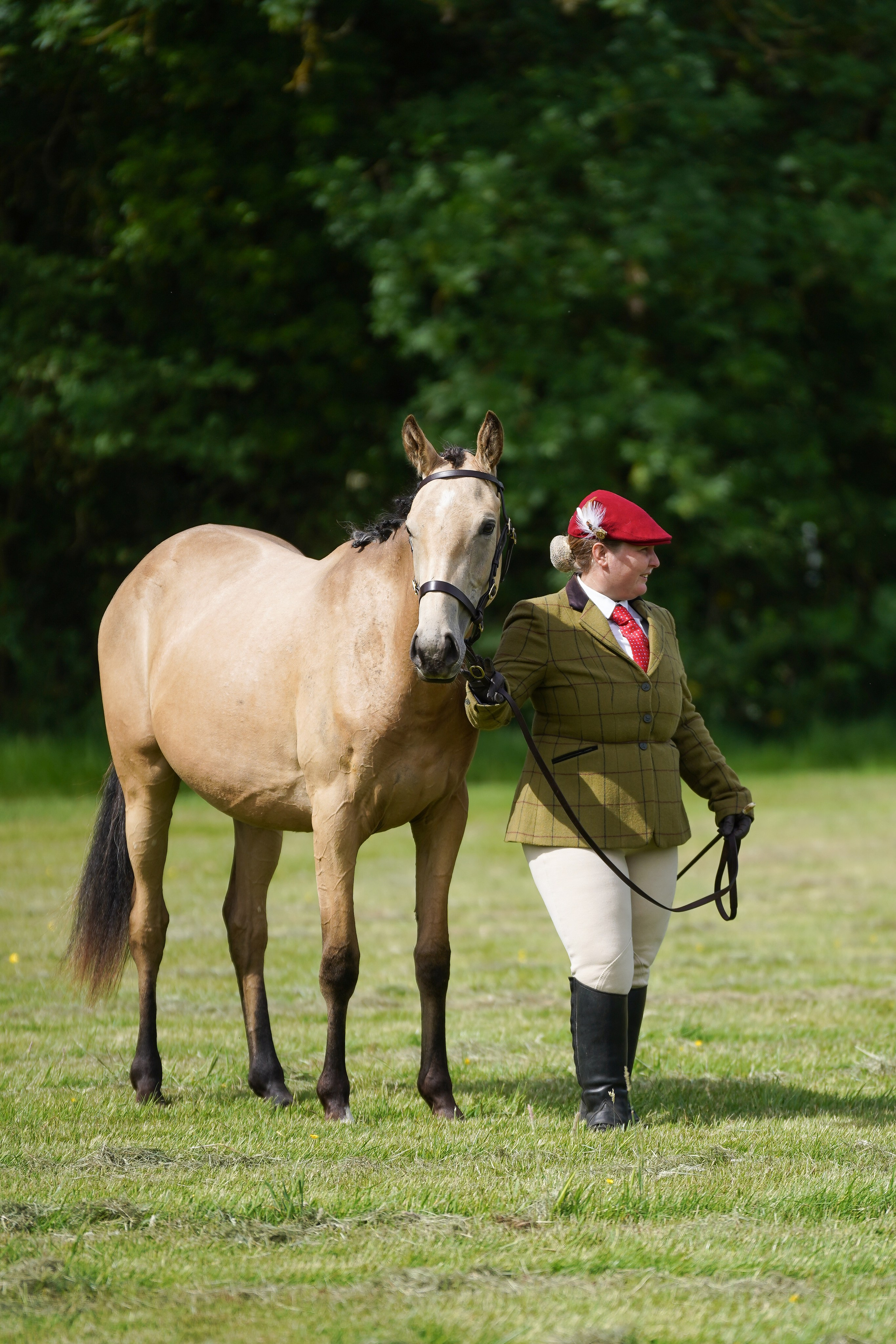 Showing. Leicestershire Equine Photography by El | Authentic Equine Portraits & Events