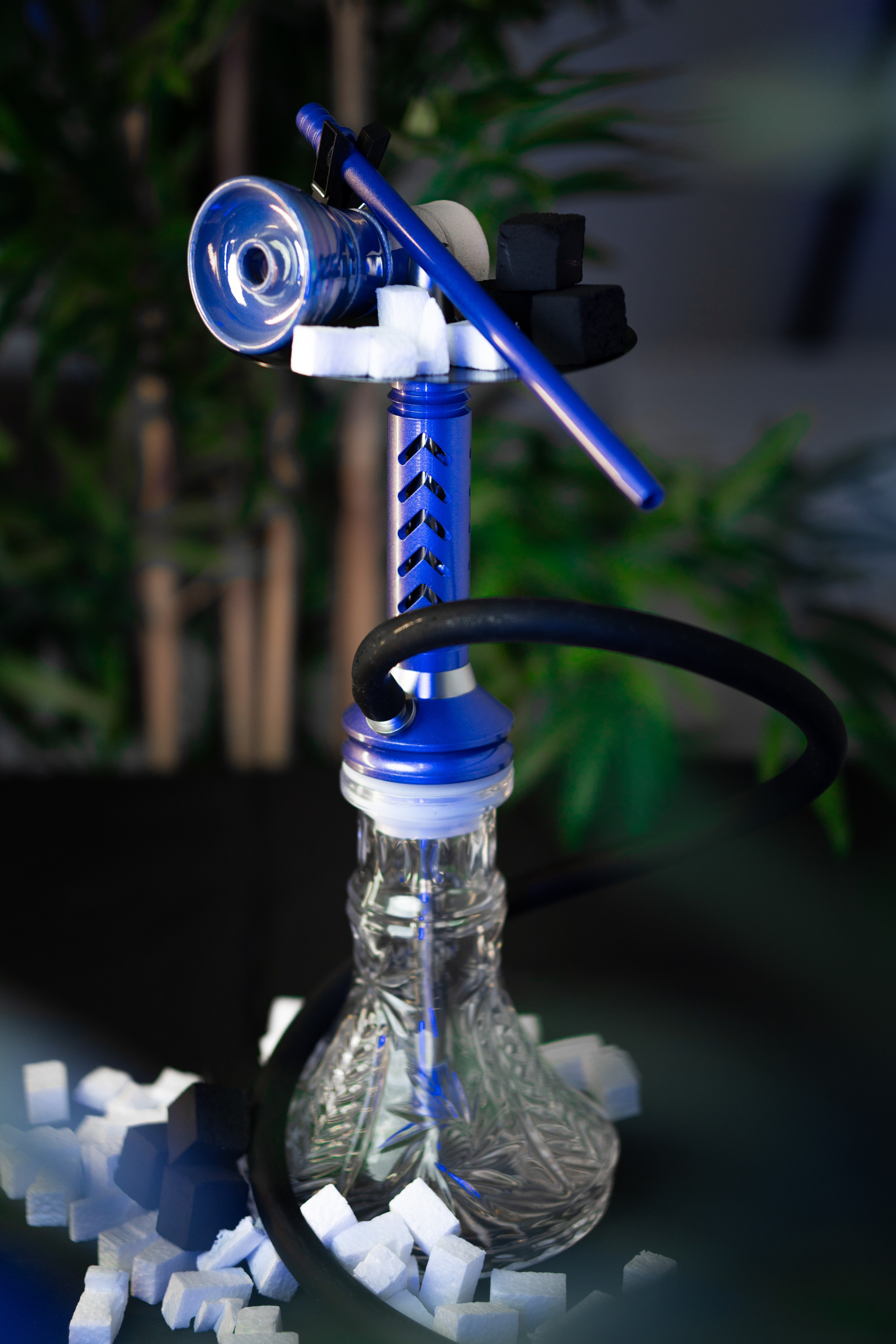 Cachimbas. Baby Beast