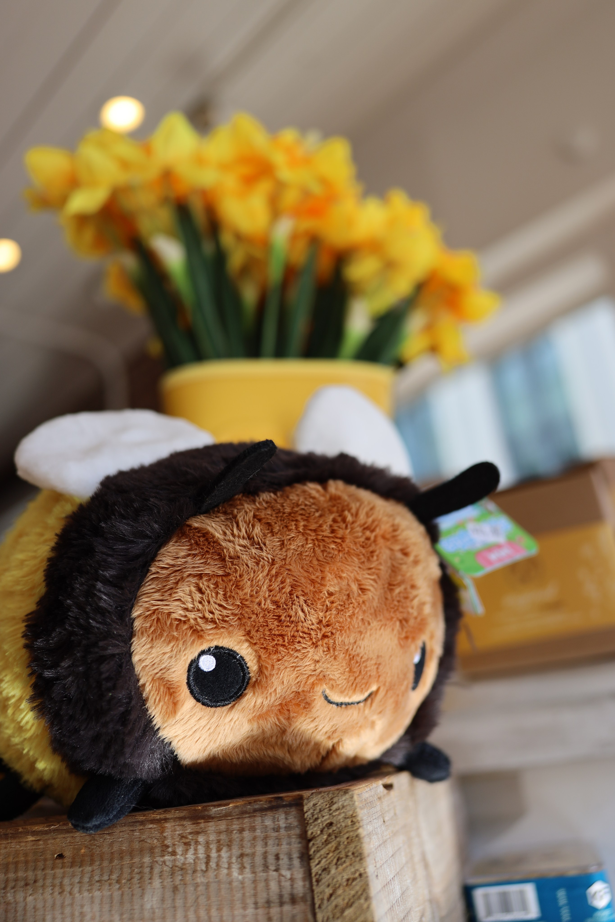 Colour. Sonny Photos