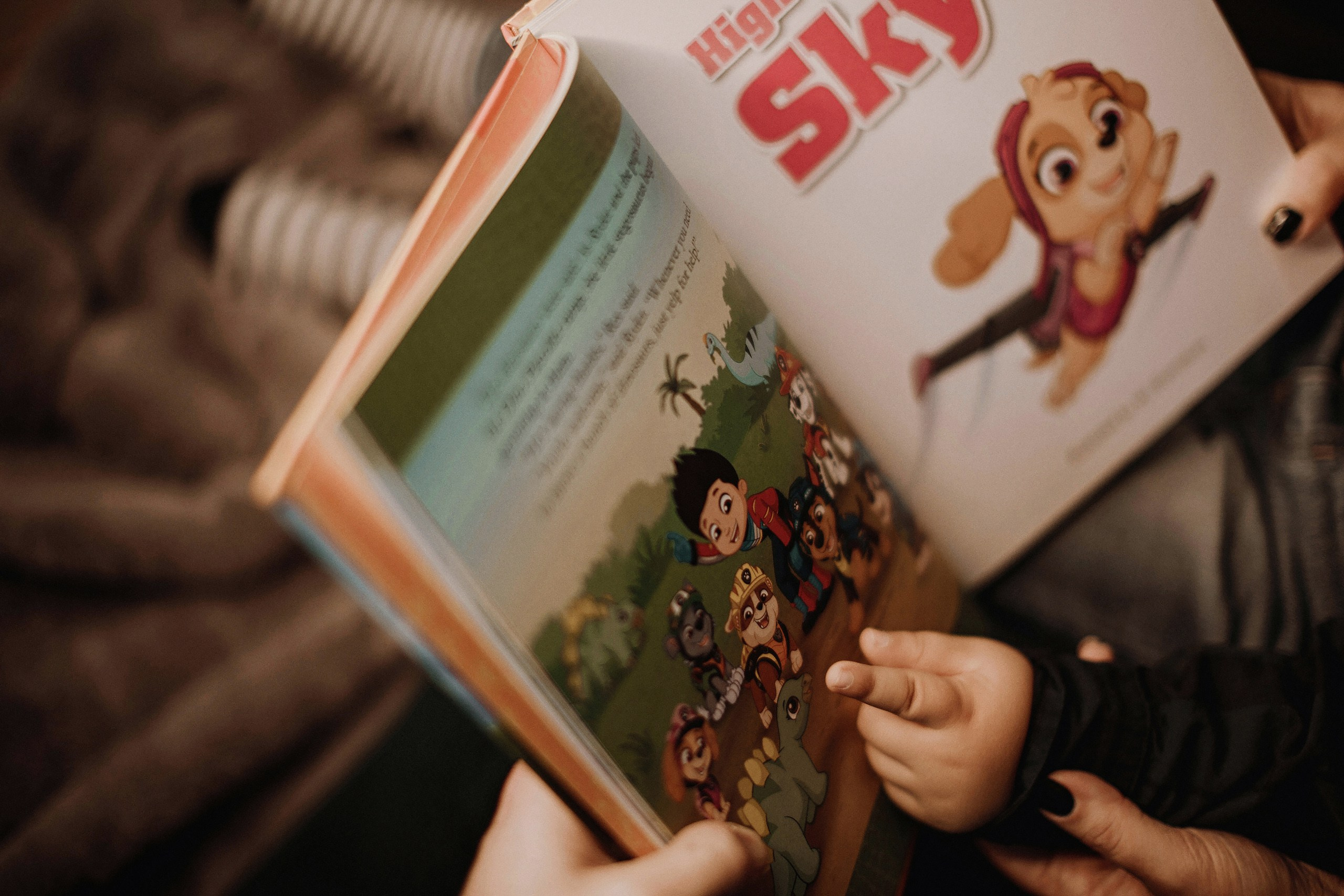 19.11.2023 Christmas Photoshoot. Wedding family event photographer in Chicago Nick Yushevich