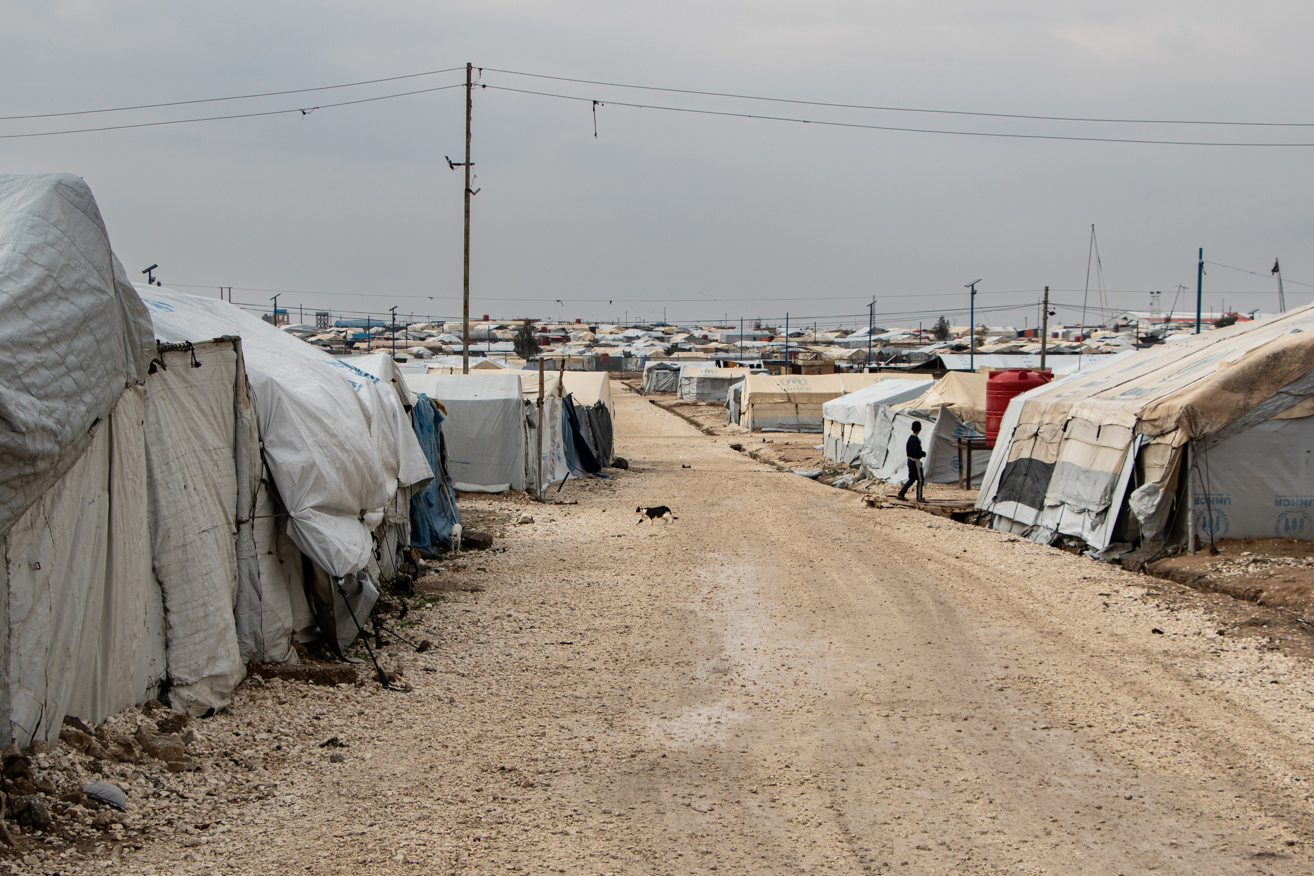 Un chat traverse la section iraquienne / syrienne du camps Al-Hol, prisonniers de Daesh, dans le Rojava Kurdistan Syrien.
