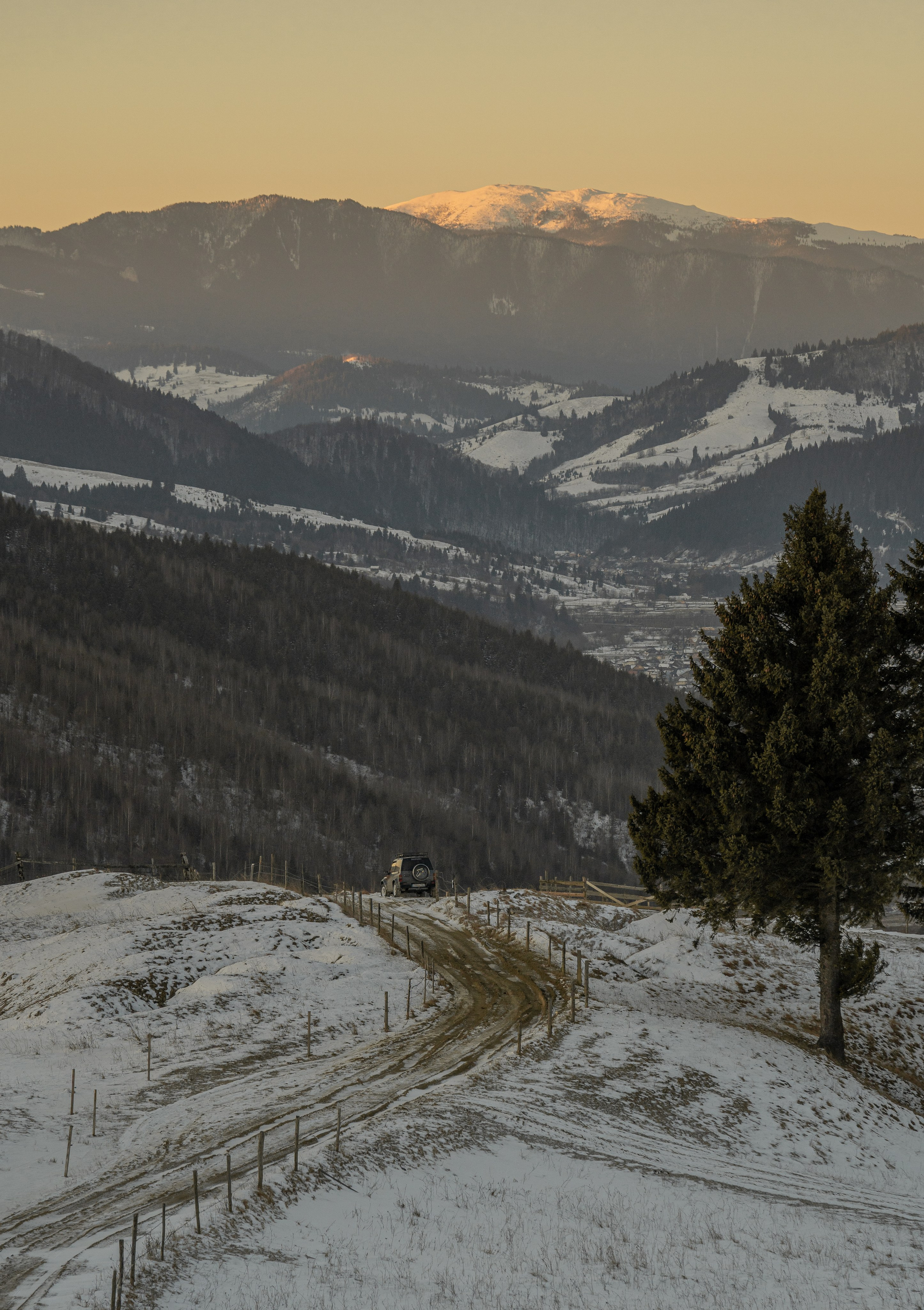 Galery. Fotografie de Familie, Nuntă și Evenimente - Marian V. Munteanu