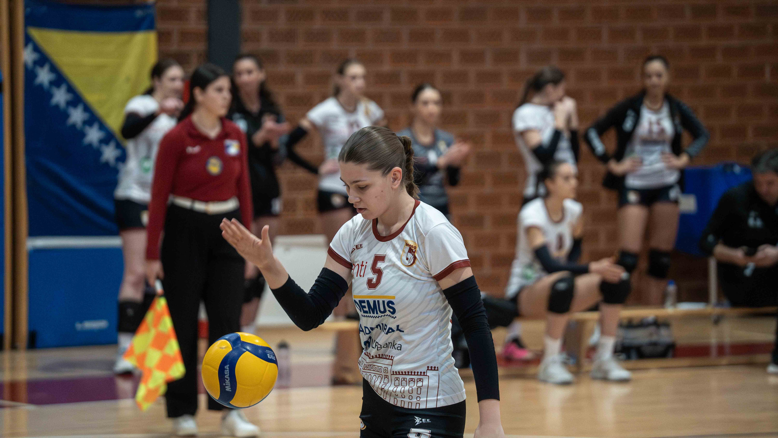 ŽOK Bosna — 2024/2025