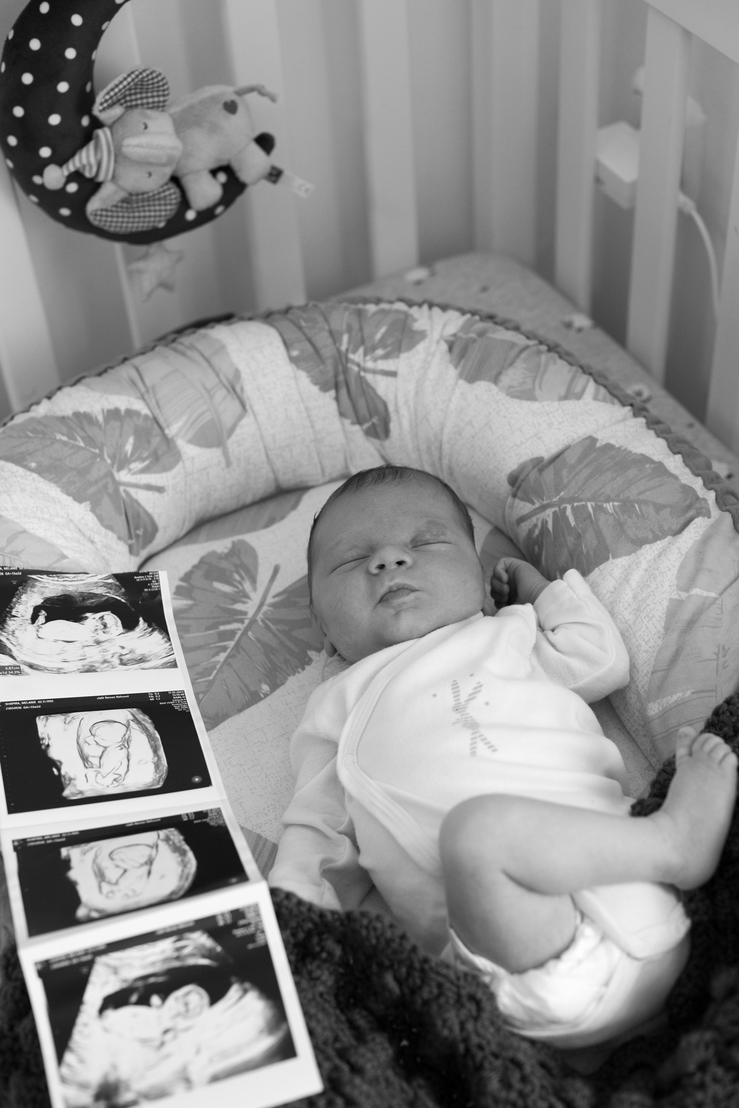 Семья Ильи и Мелани. Визуальный брендинг