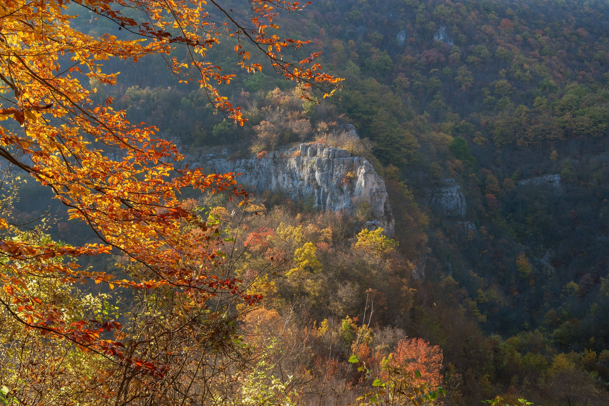 Планини. Александър Сандев - website