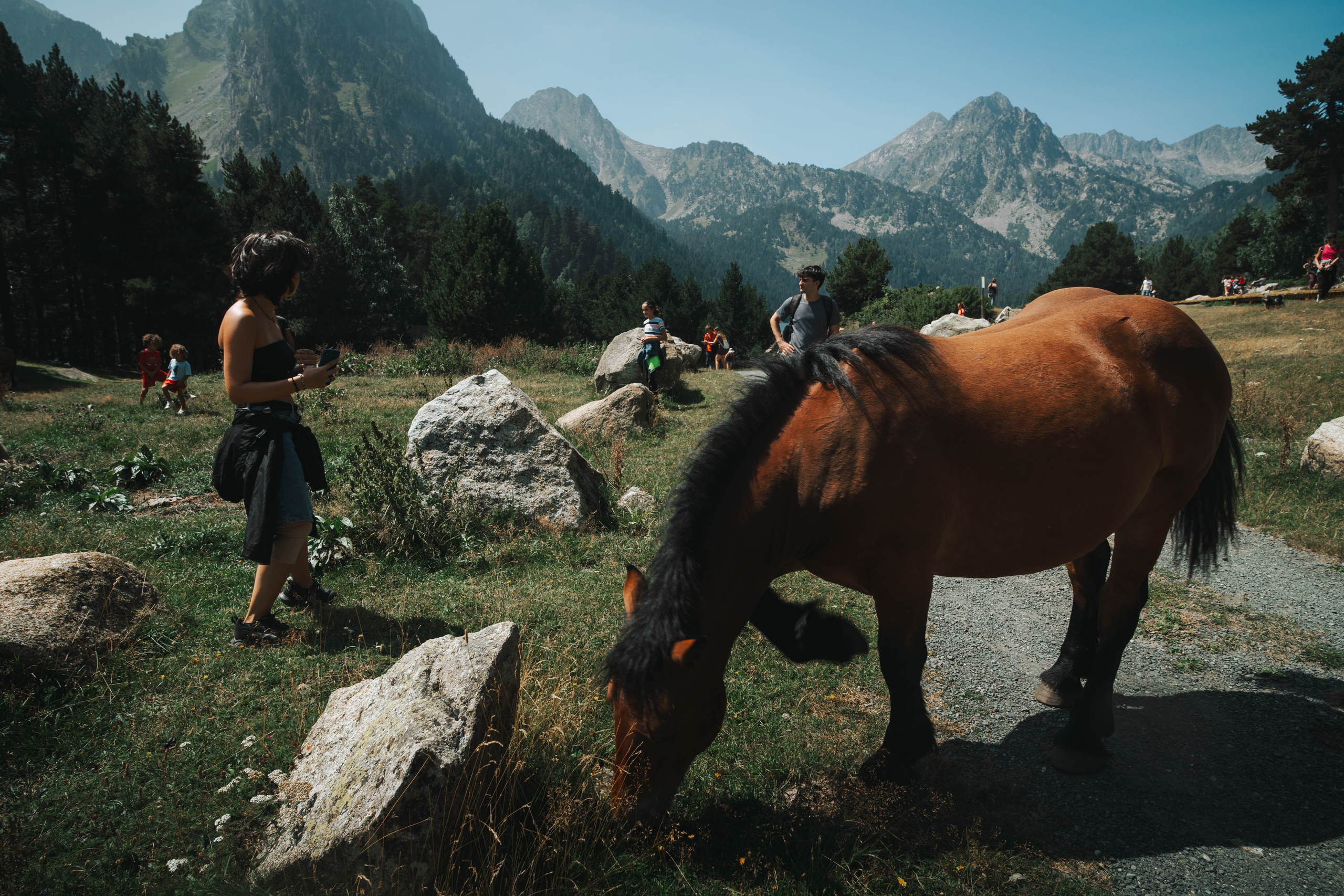 Parque Nacional de Aigüestortes y Estany de Sant Maurici. Alba del Norte Studio