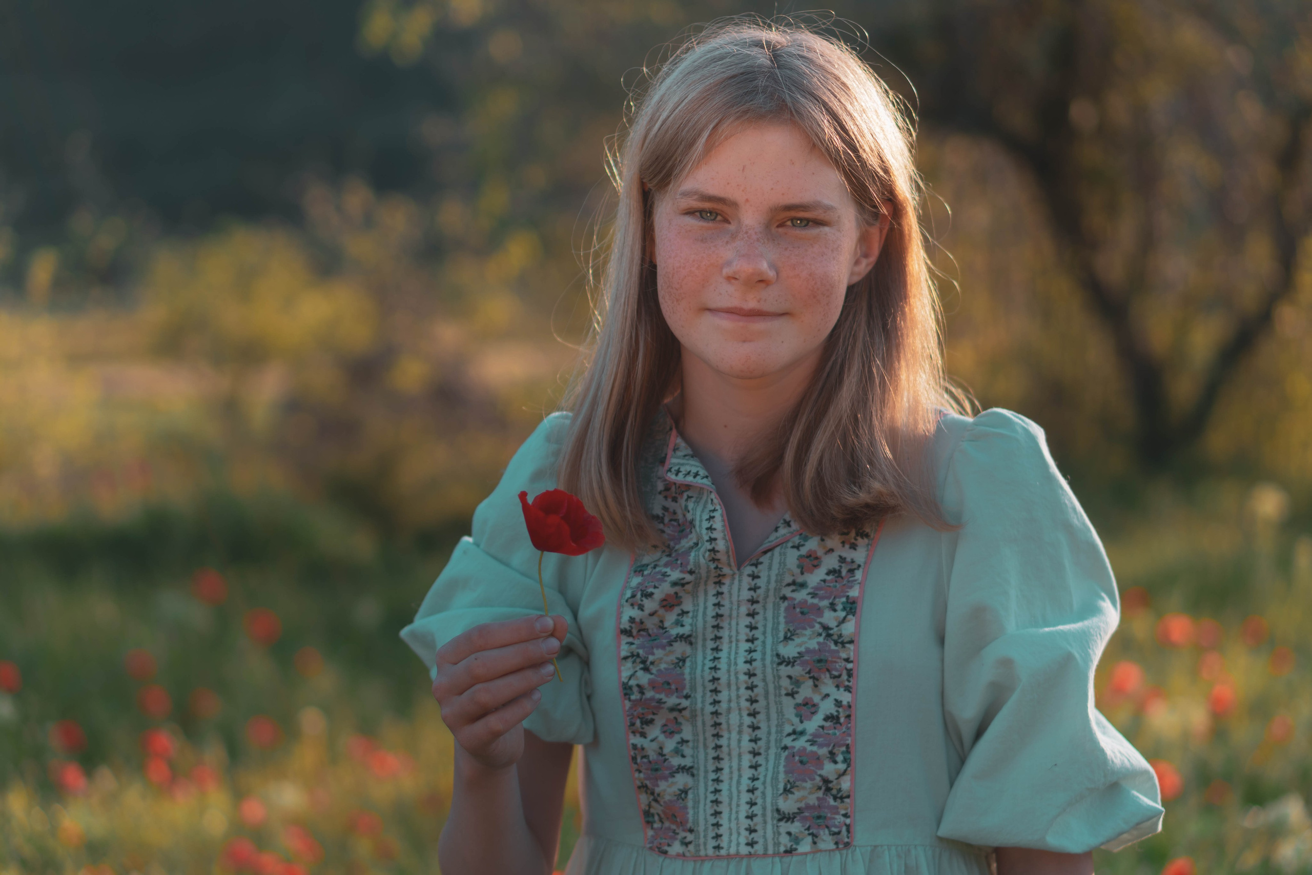 Agnia & Amapolas. Alba del Norte Studio