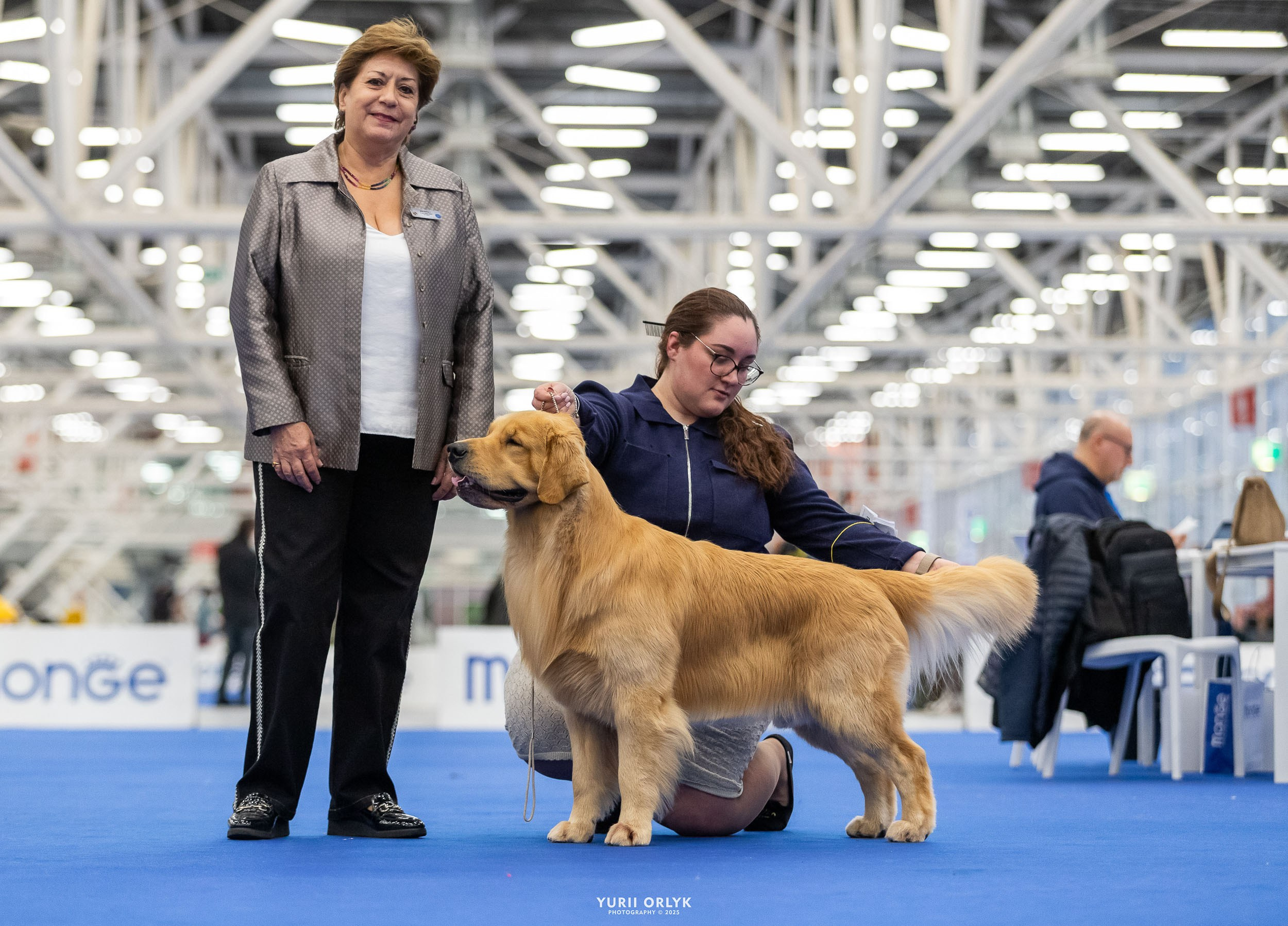 Dog Shows. Yurii Orlyk Photography