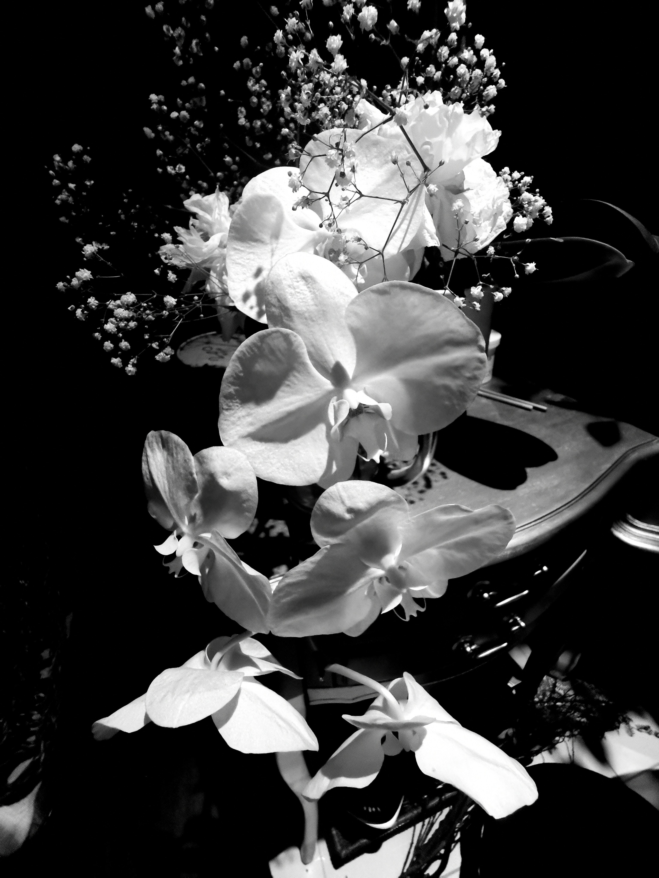 Impact Photo Collecton. Professional Artist, teacher of art, Artistic Photographer In Dubai (U