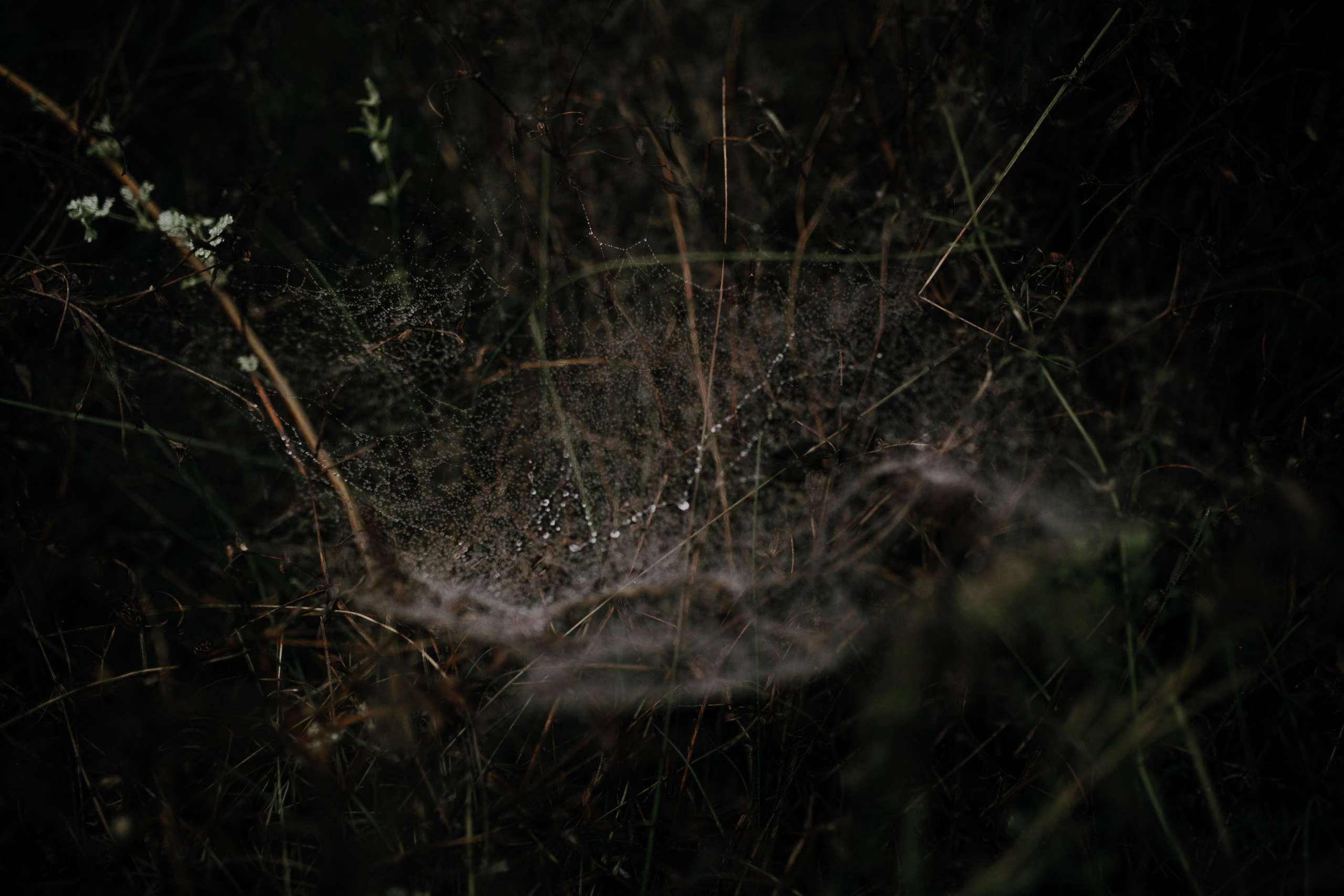 M & G. Fotograf Nunta Iasi - Hearts & Pictures