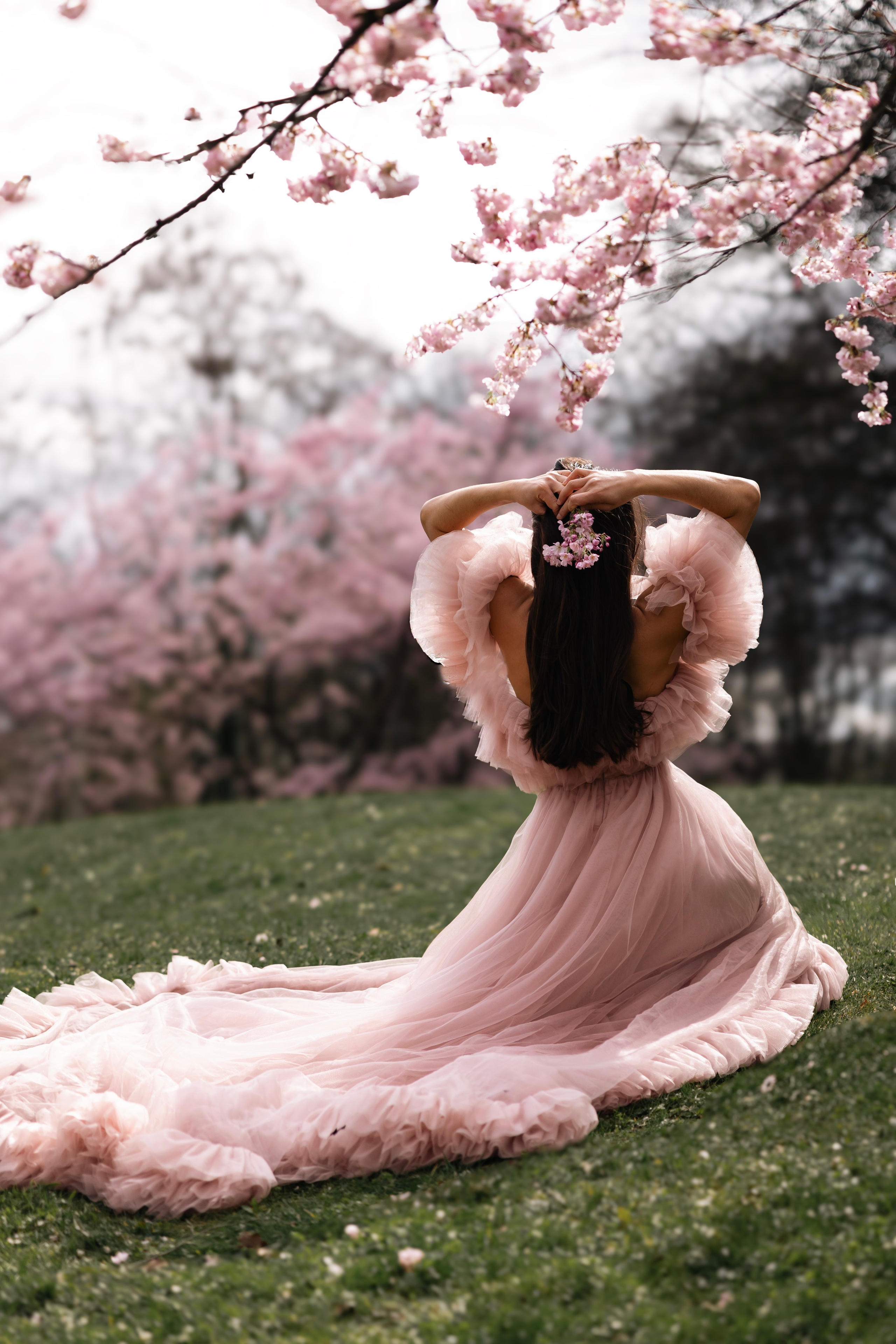 Sakura. Photographer in Munich