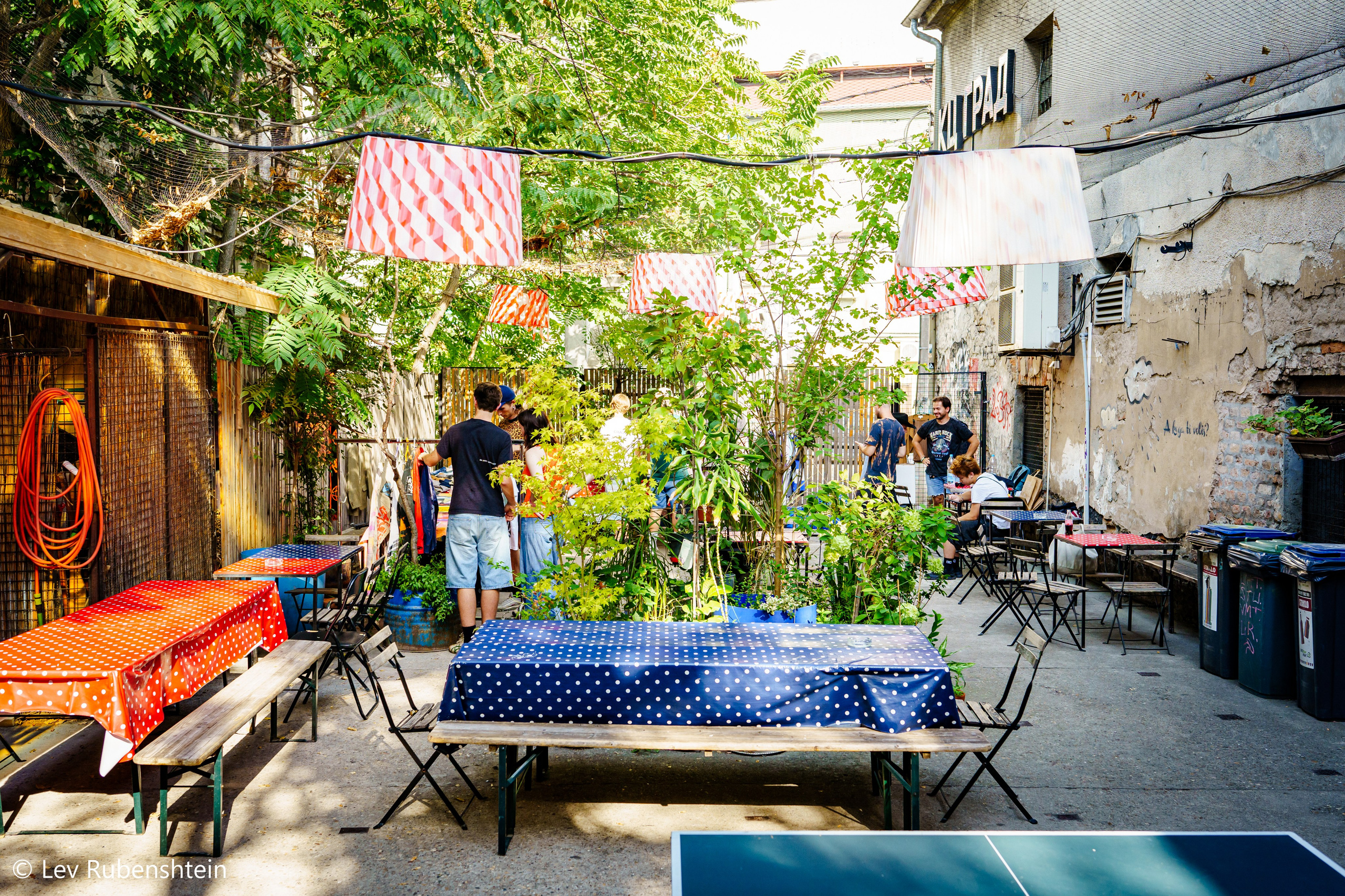 SUMMER FEST 17.08.2024. Concert and Event photographer in Belgrade, Serbia