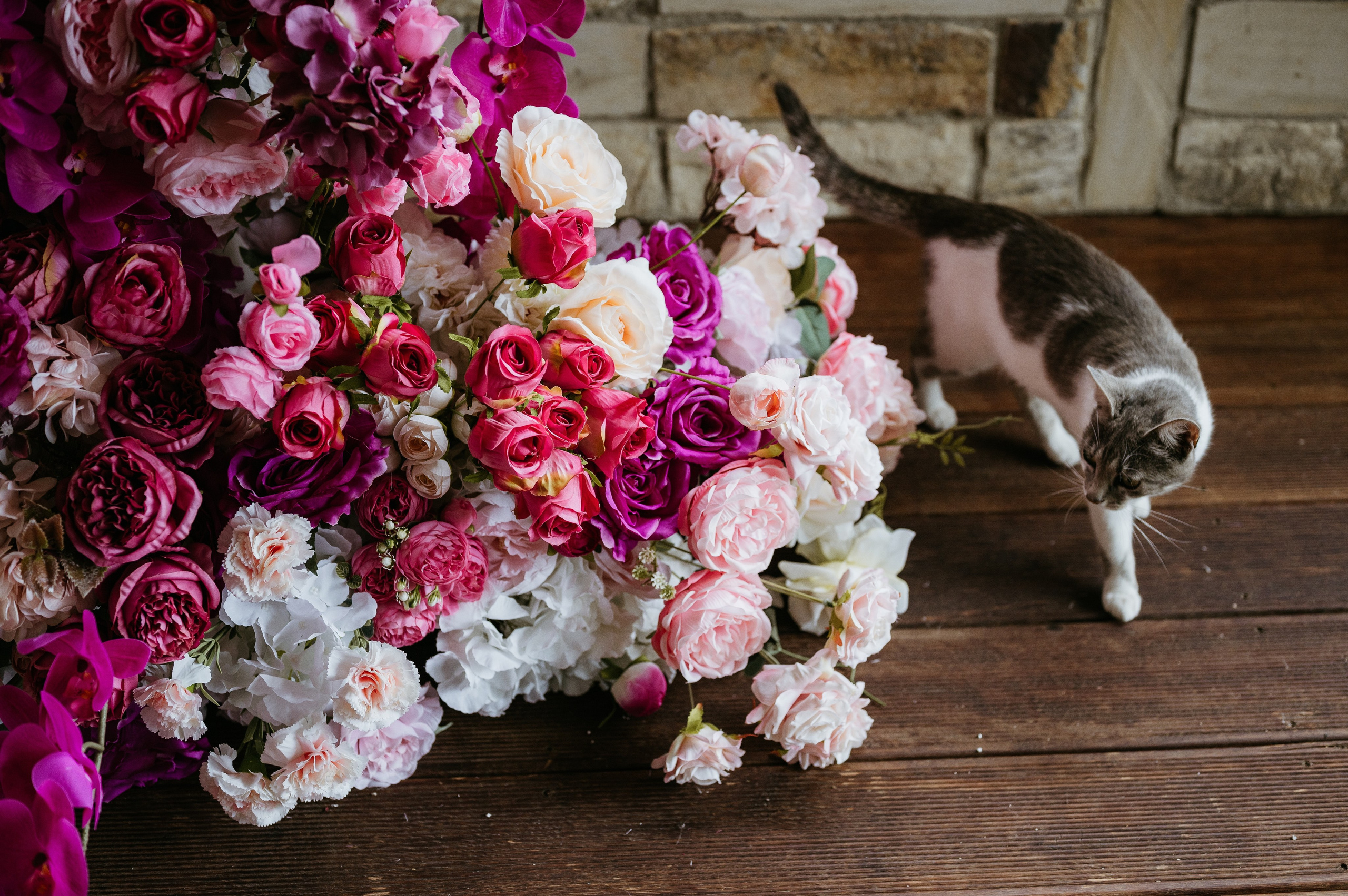 Dani si Elisa. Valentin Melen - fotograf de nunta 🤍